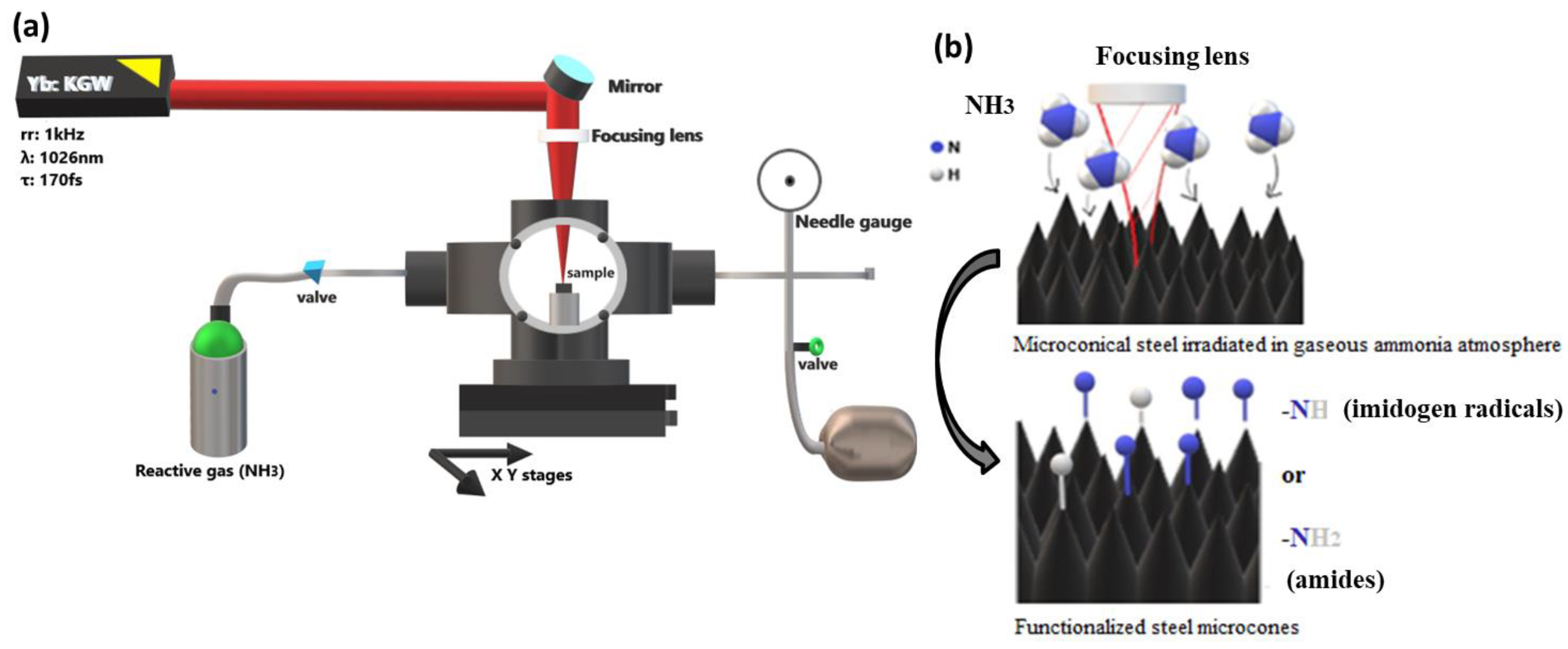 Materials 12 03428 g001 Materials 12 03428 g001