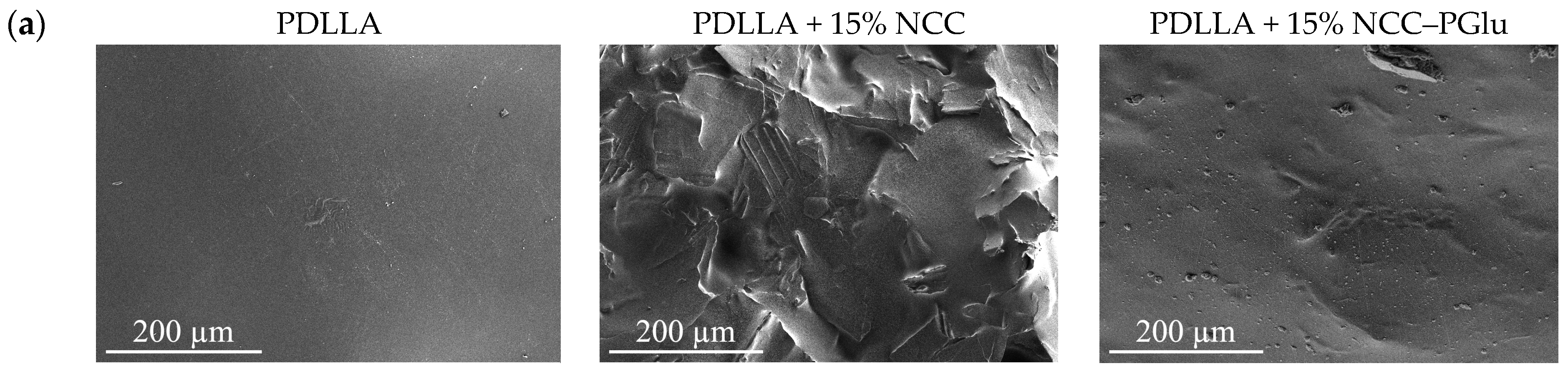 Materials 12 03435 g003a