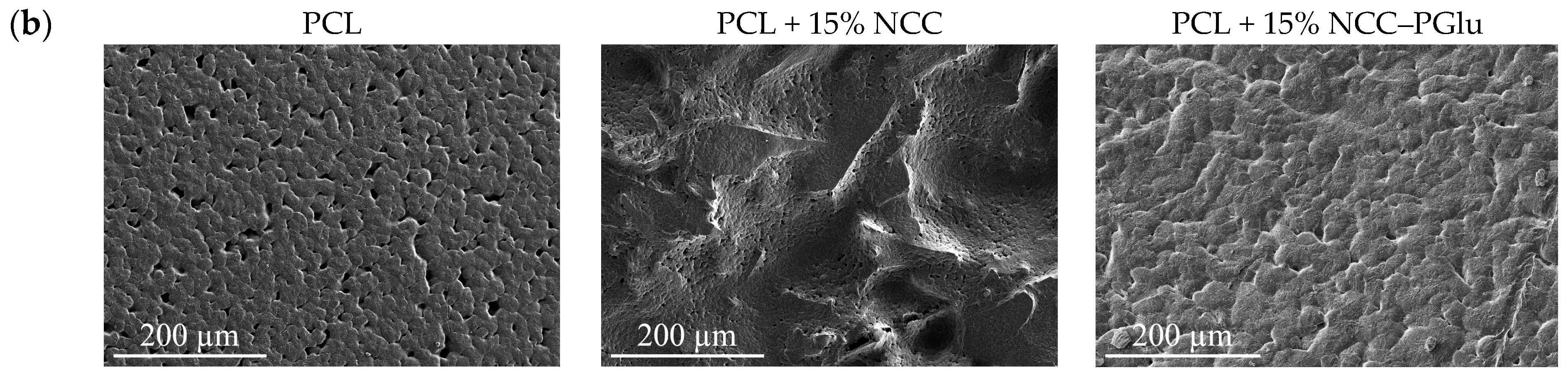Materials 12 03435 g003b