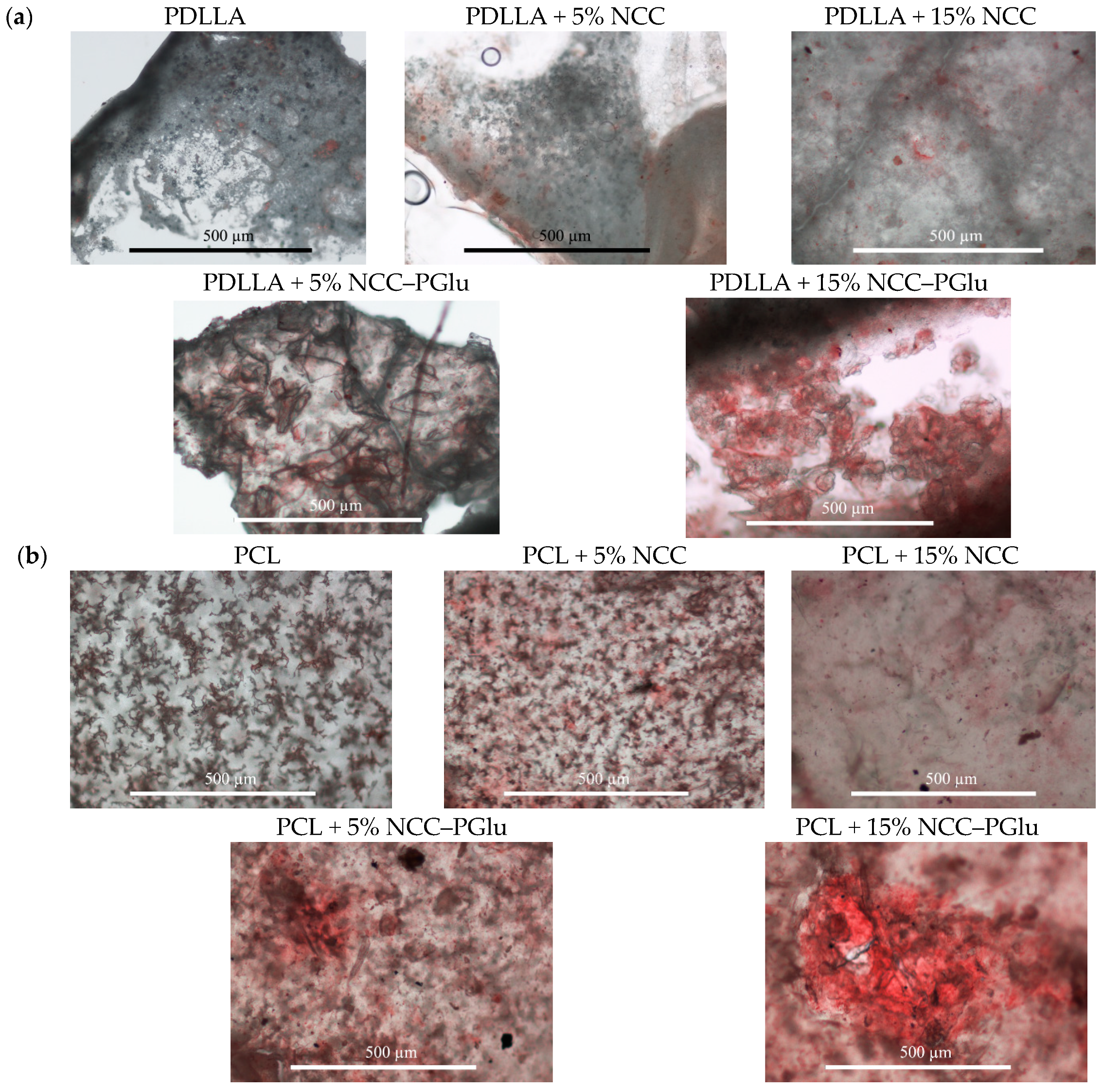 Materials 12 03435 g006