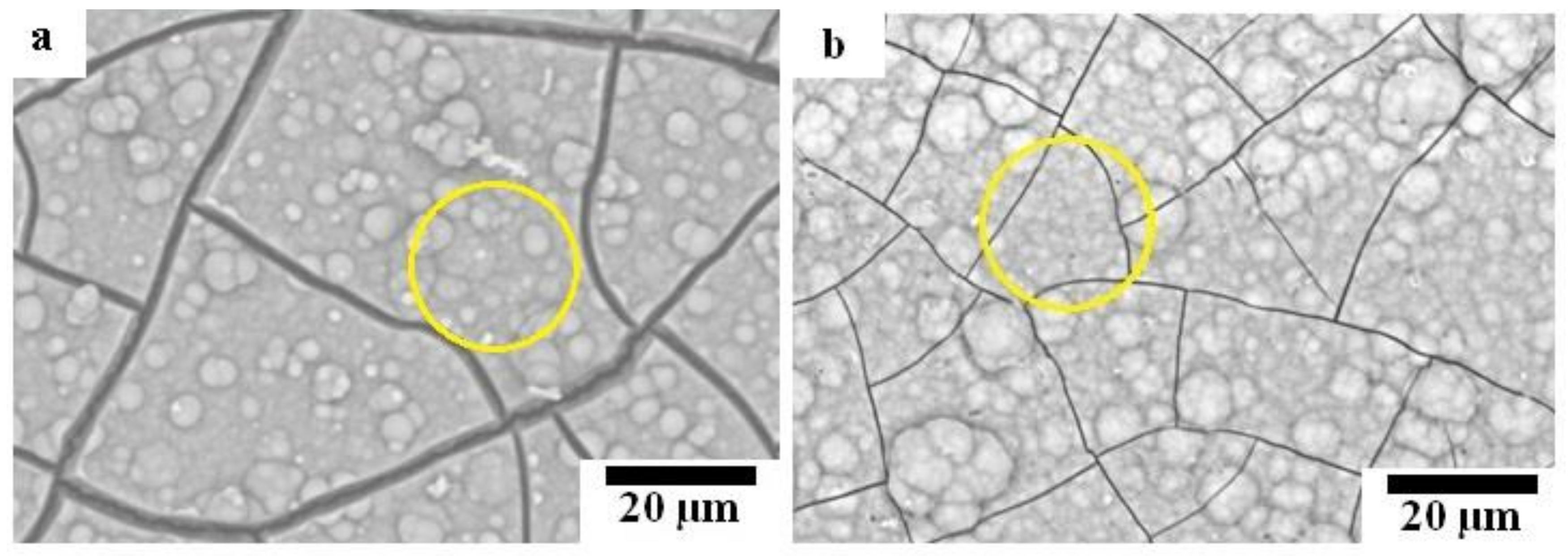 Materials 12 03474 g009