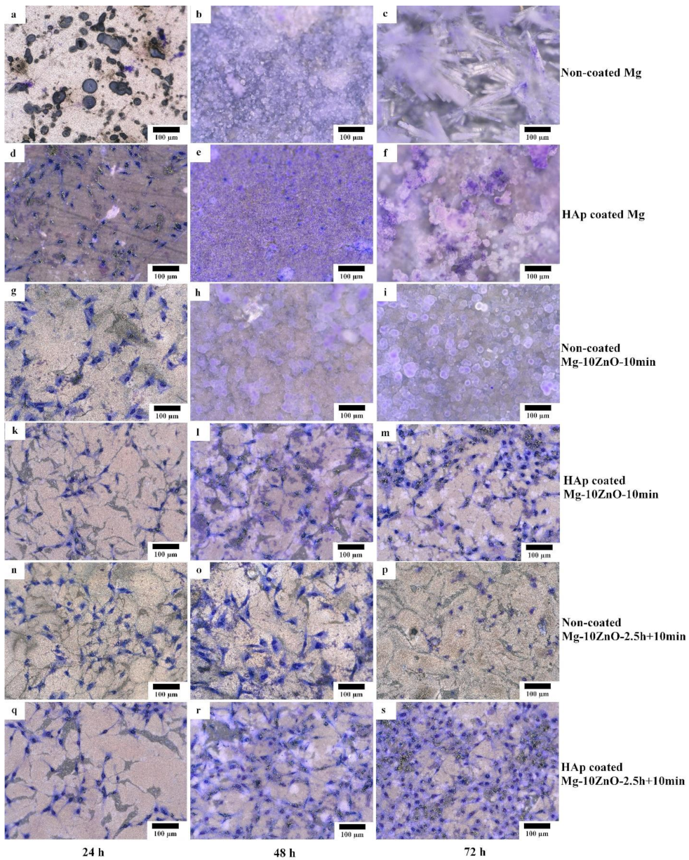 Materials 12 03474 g012