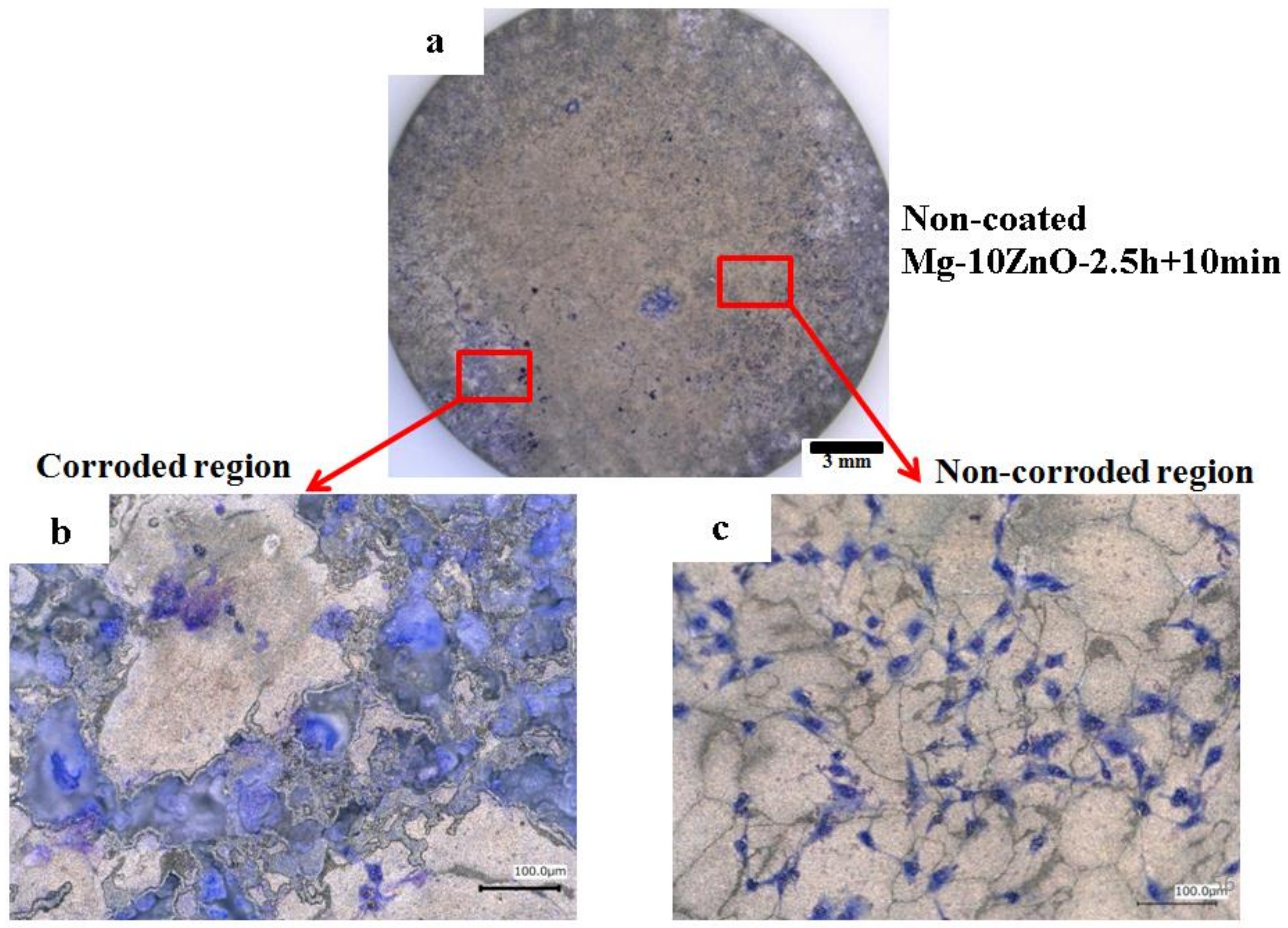 Materials 12 03474 g013