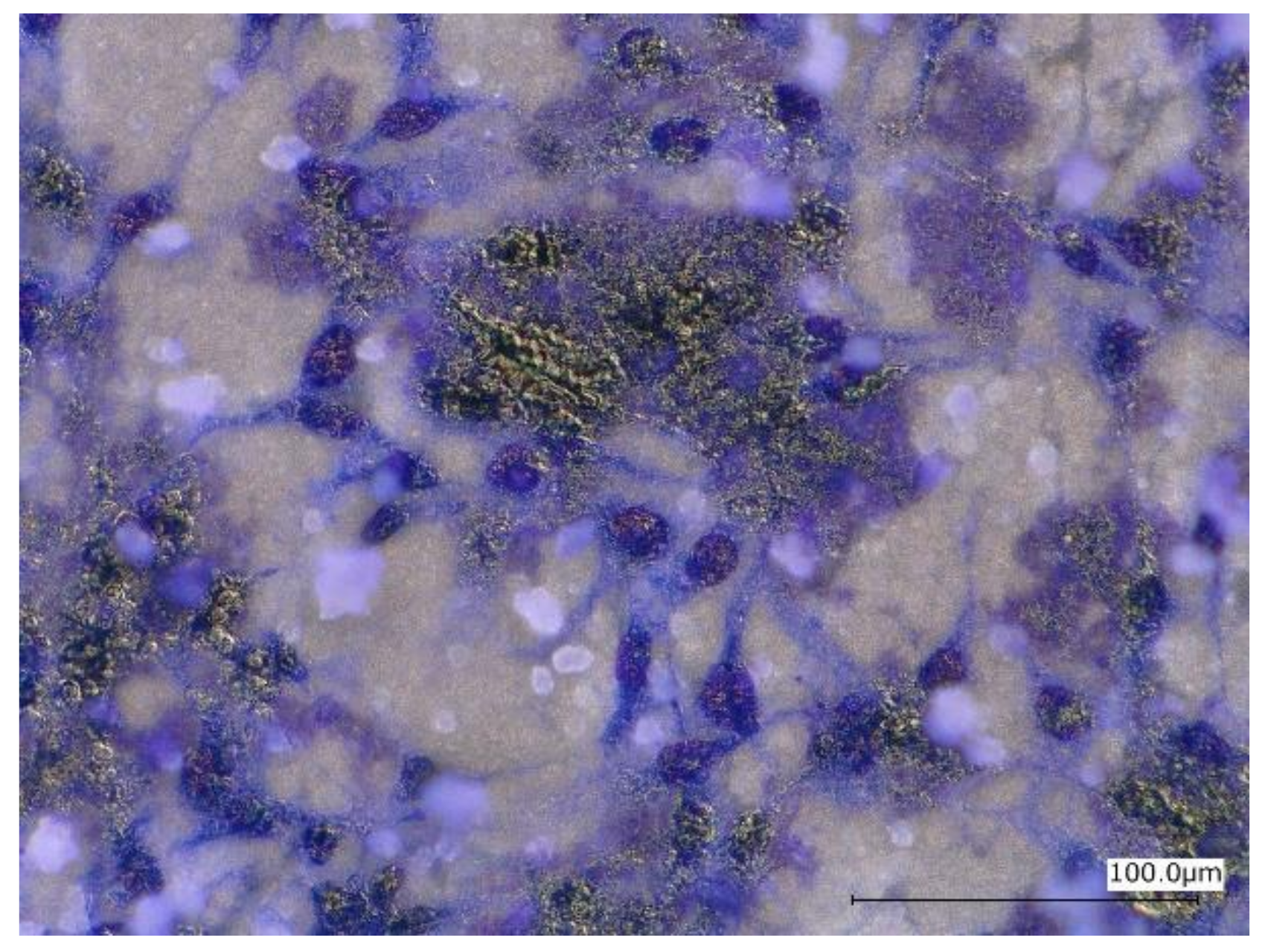 Materials 12 03474 g014