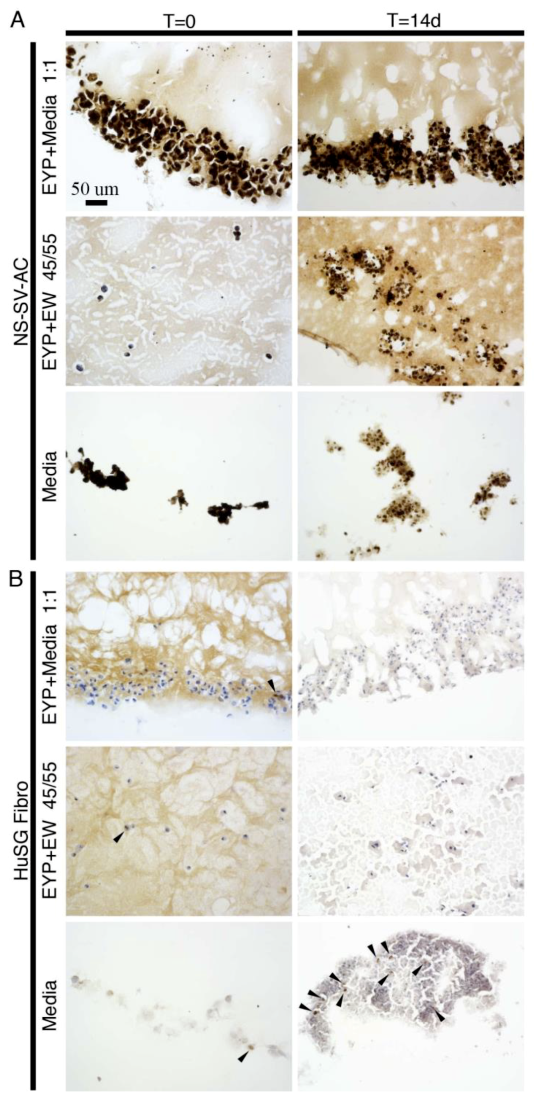 Materials 12 03480 g002