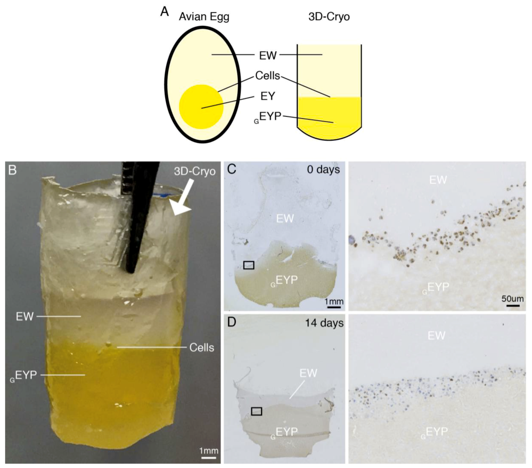 Materials 12 03480 g004