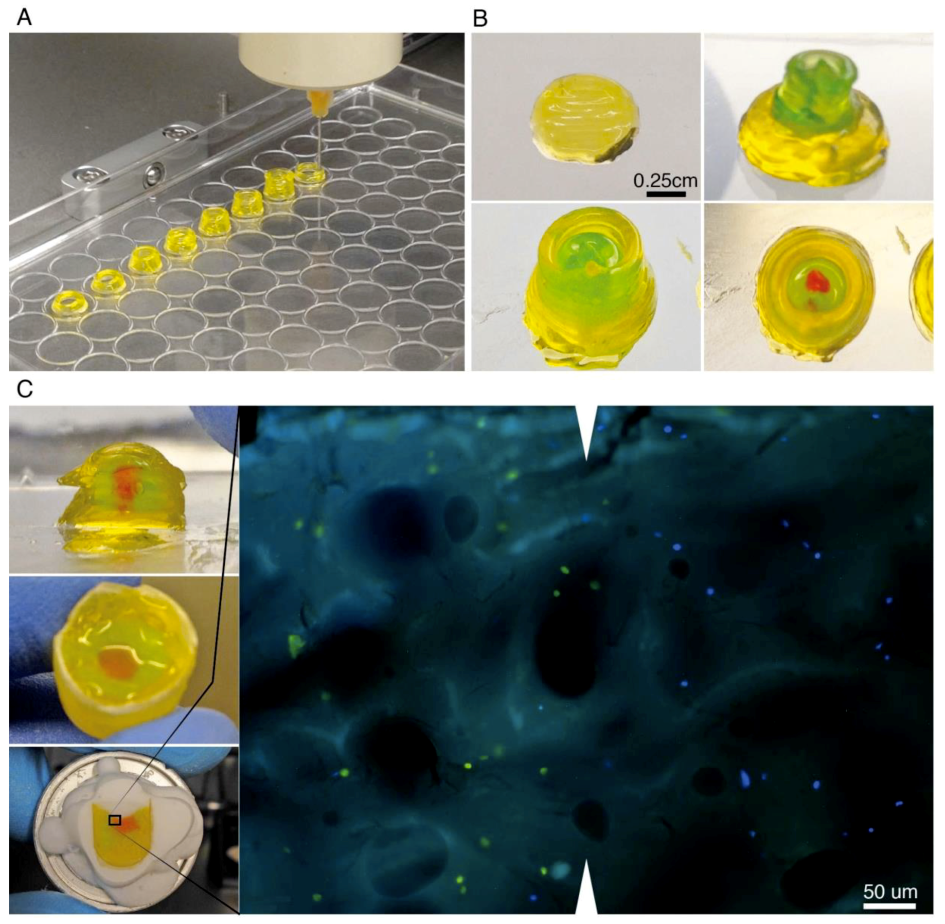 Materials 12 03480 g005