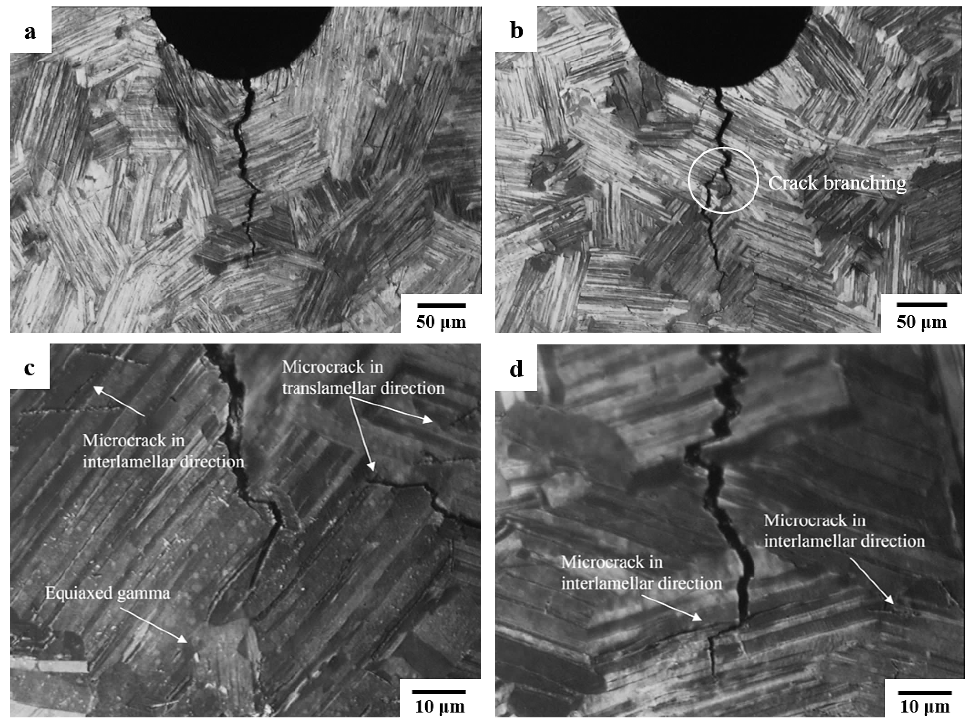 Materials 12 03487 g009