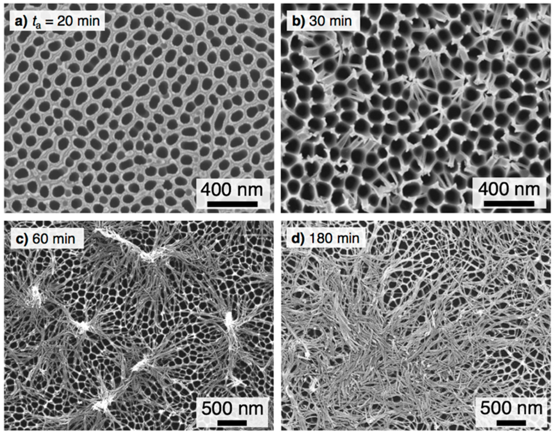 Materials 12 03497 g003