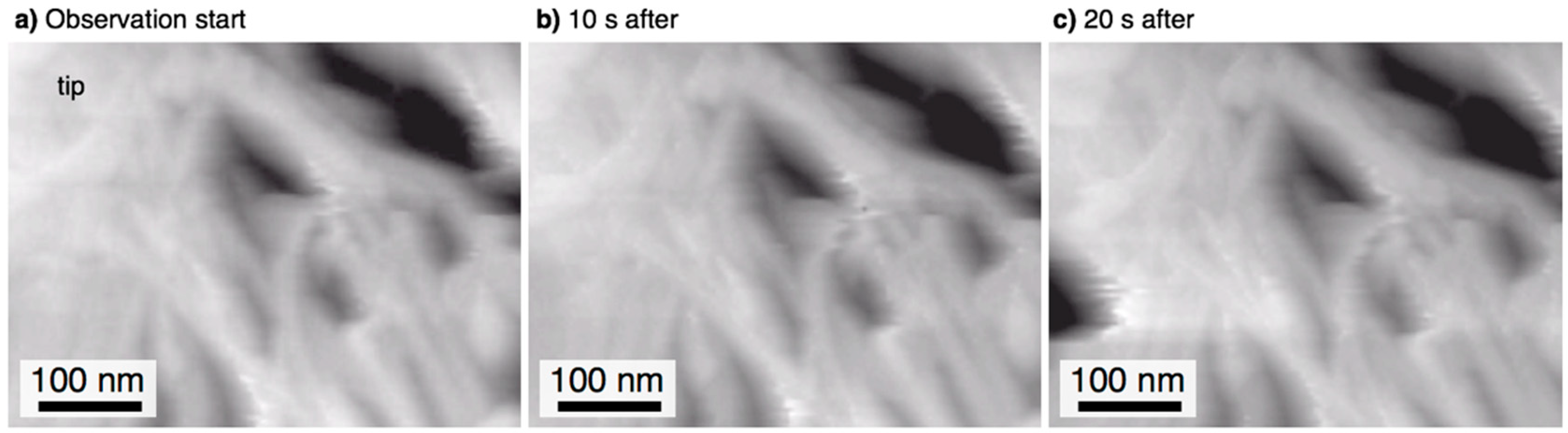 Materials 12 03497 g004