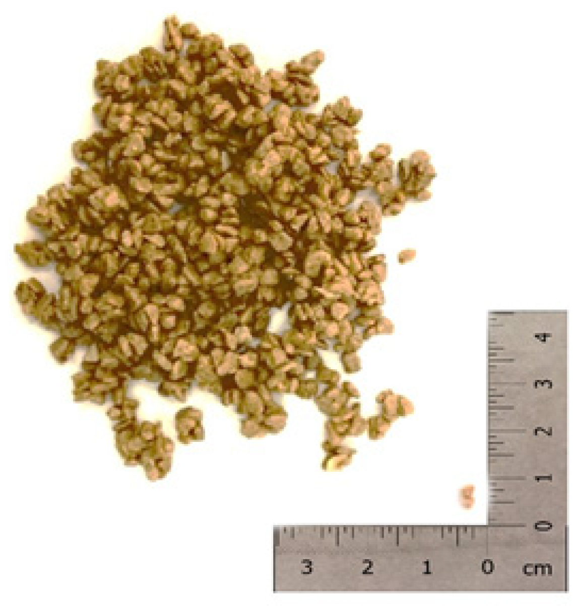 Materials 12 03502 g002 Materials 12 03502 g002