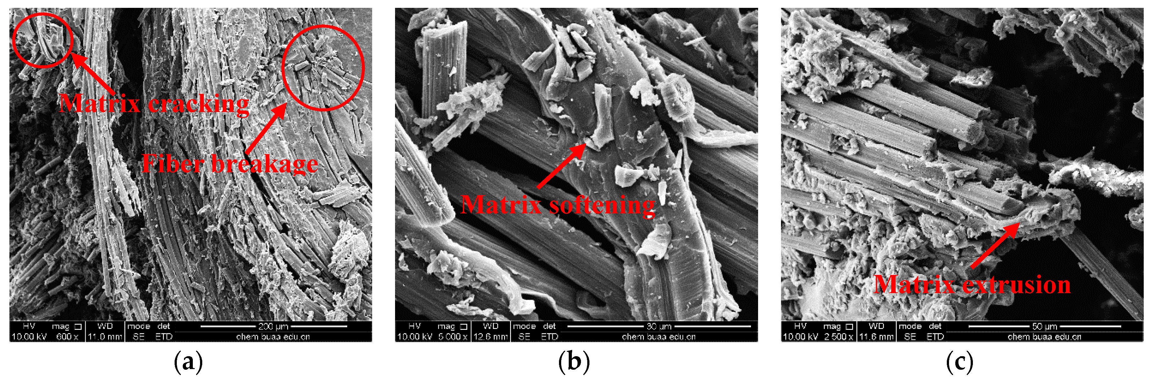 Materials 12 03506 g010a