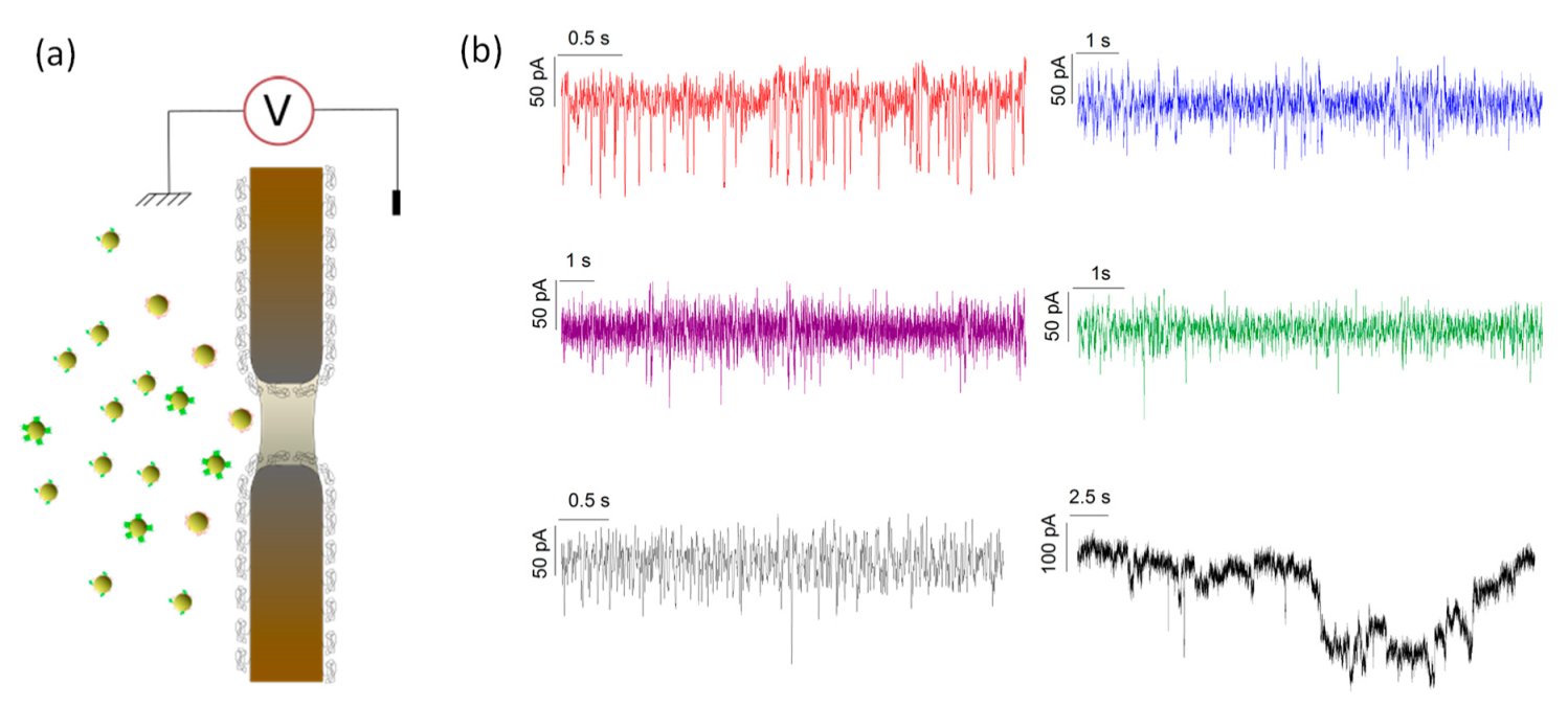 Materials 12 03524 g002 Materials 12 03524 g002