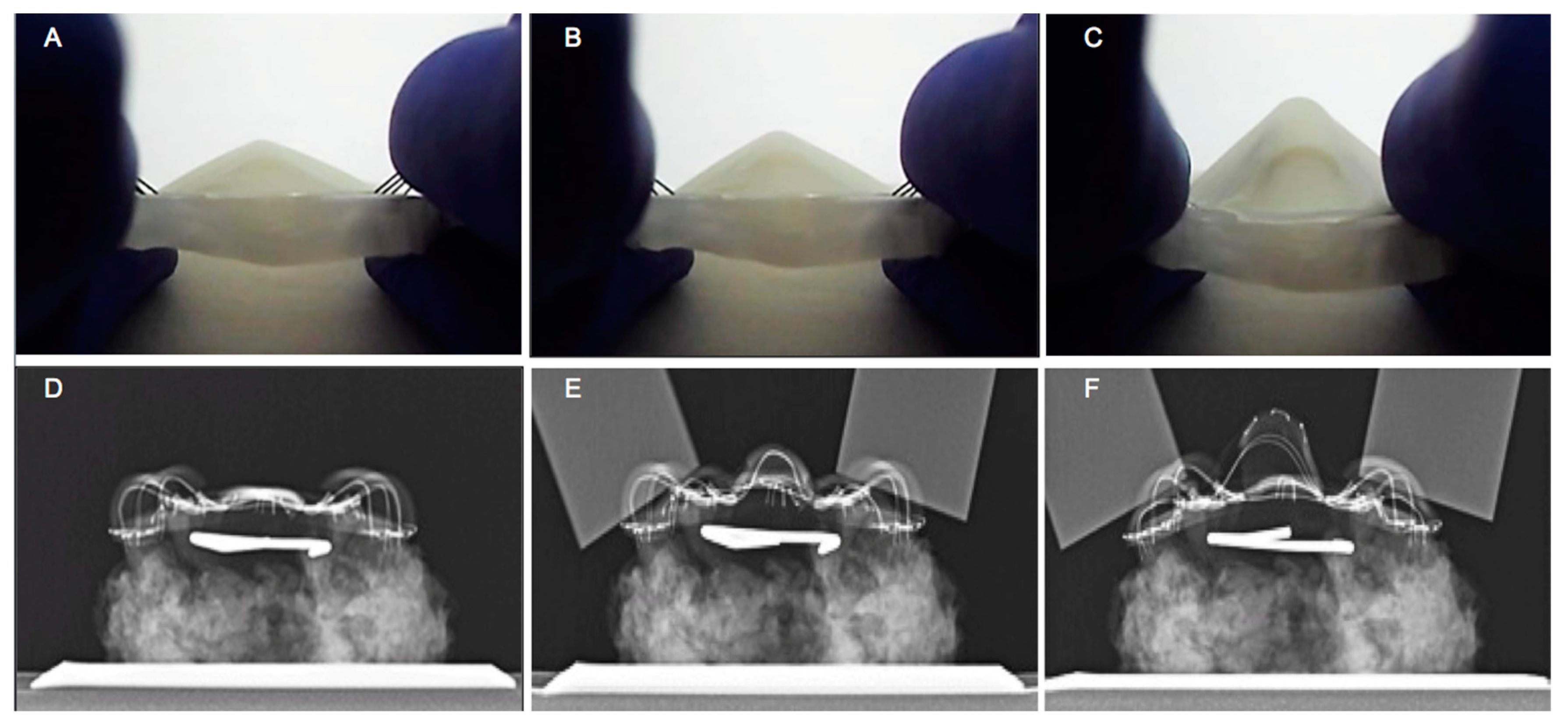 Materials 12 03555 g006