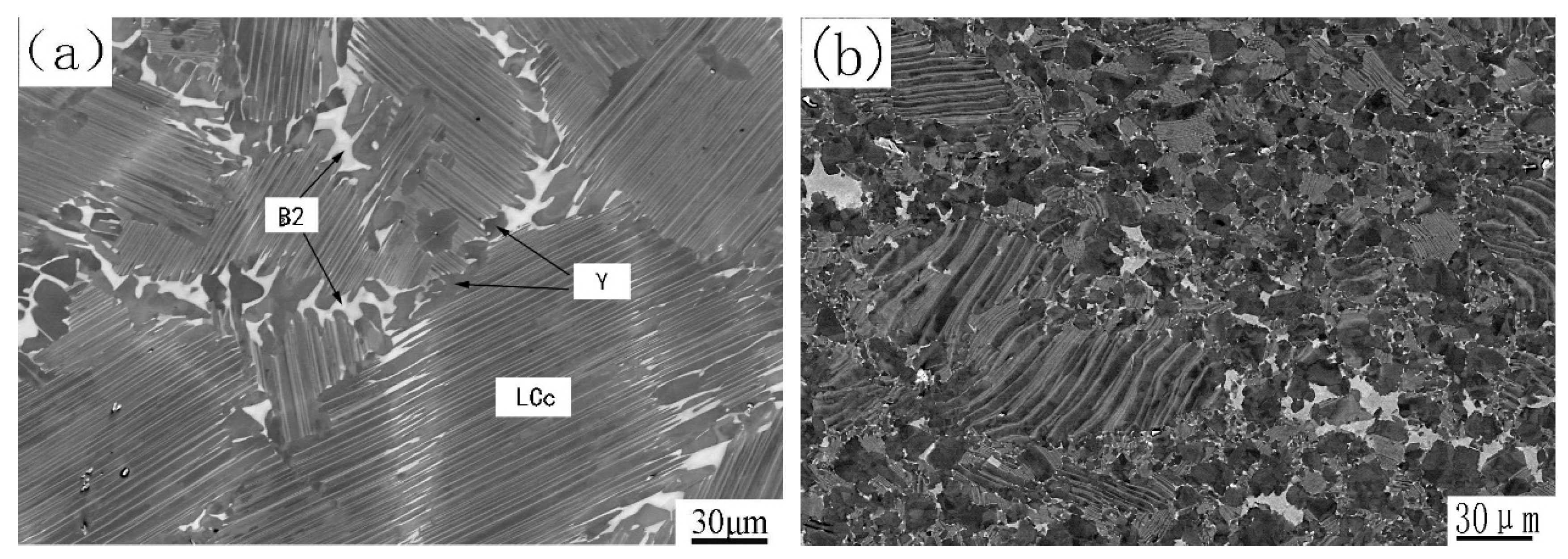 Materials 12 03556 g001