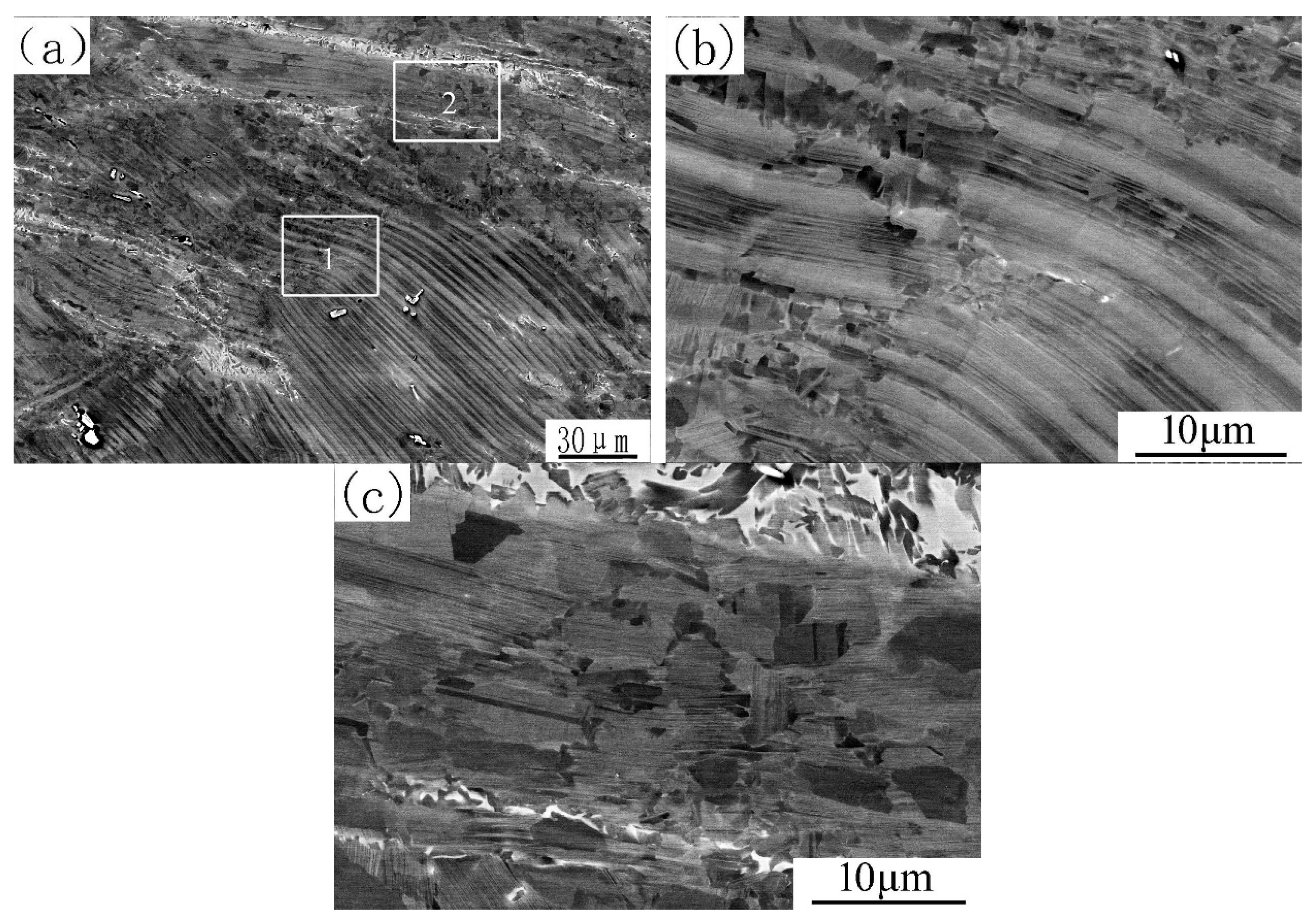 Materials 12 03556 g008