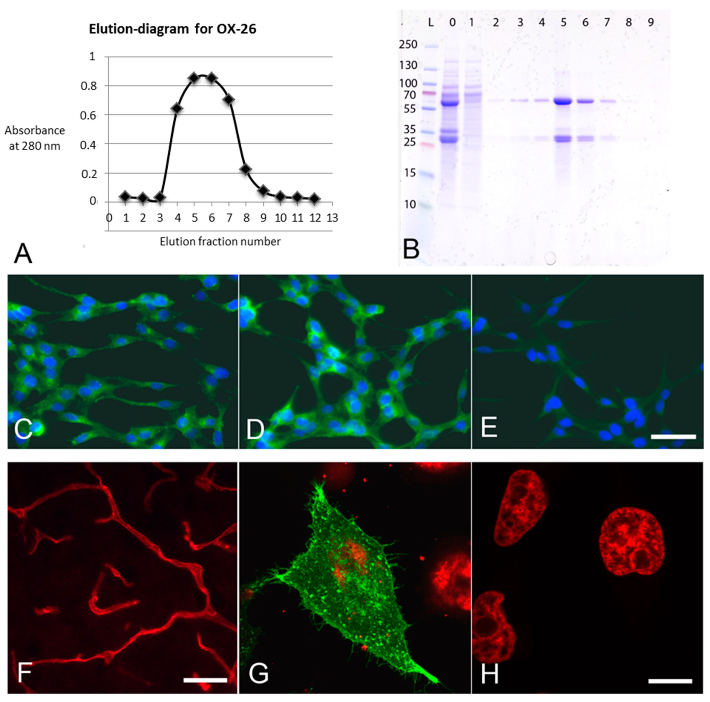 Materials 12 03576 g002