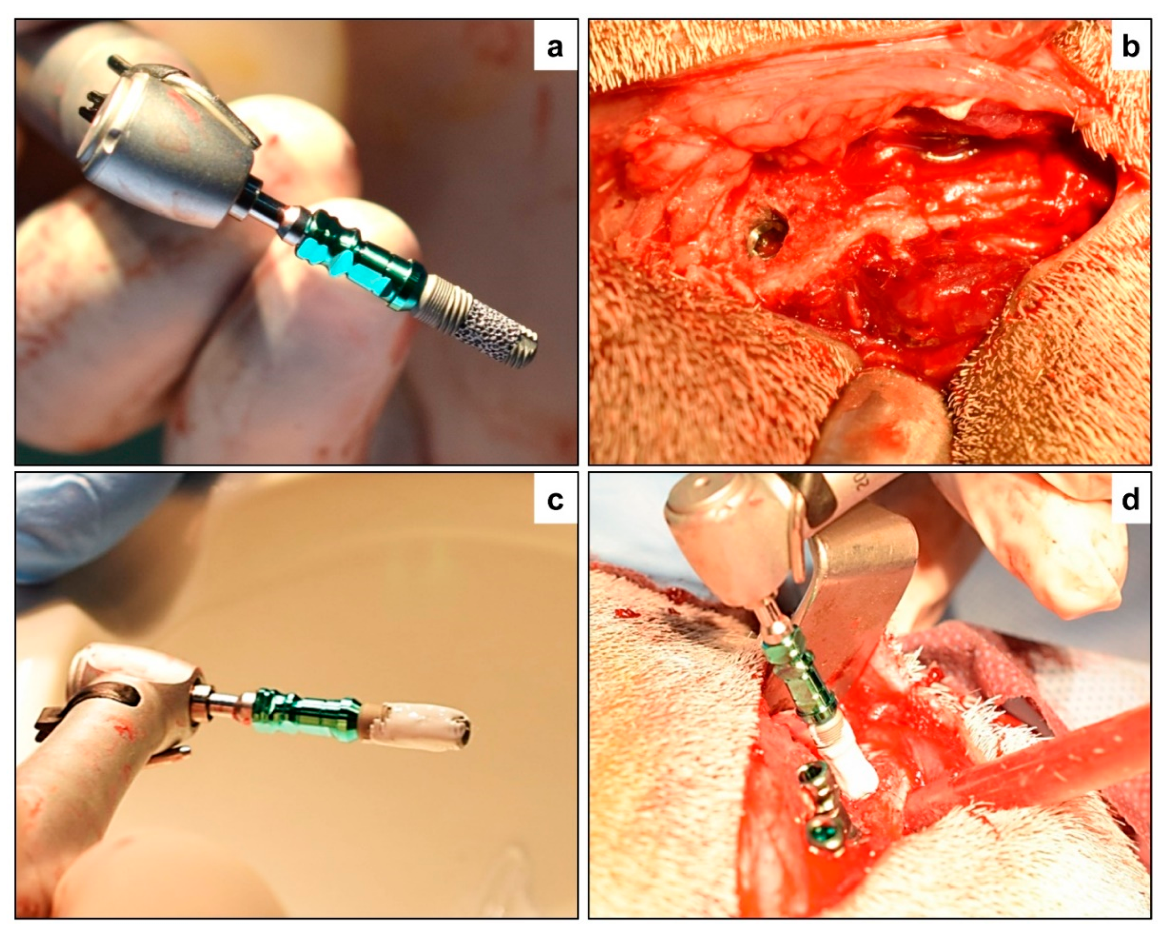 Materials 12 03606 g001