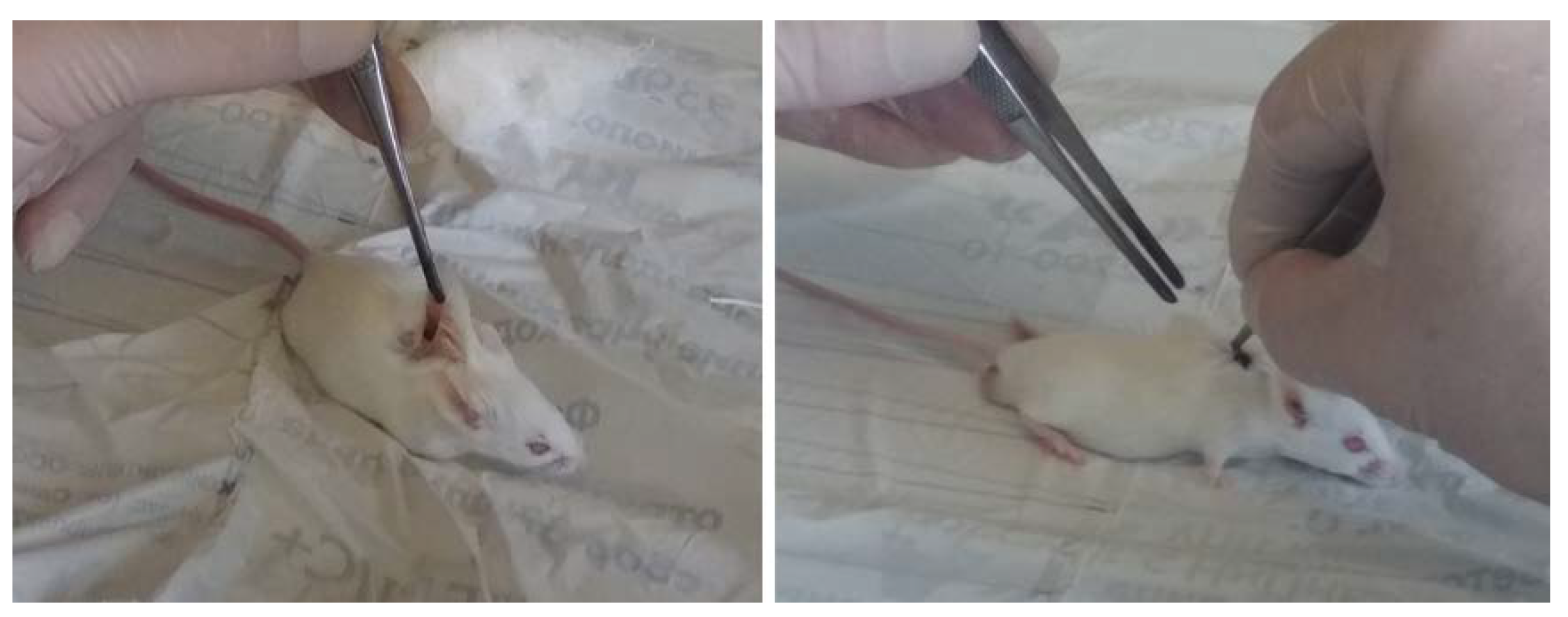 Materials 12 03627 g002