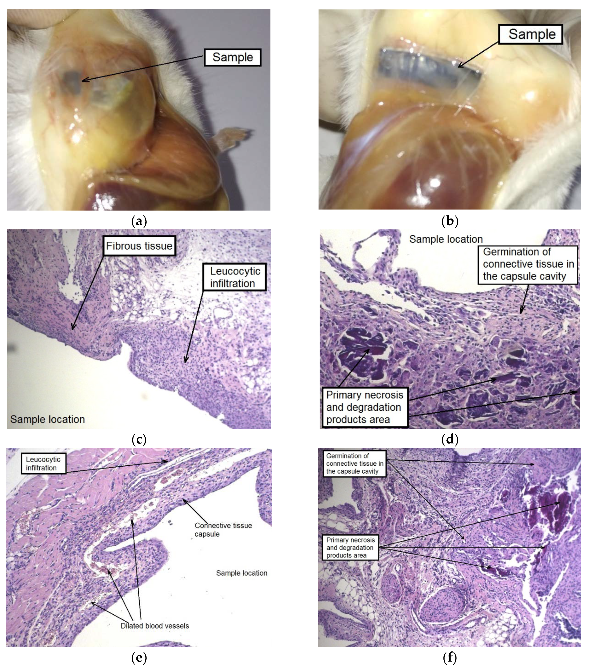 Materials 12 03627 g008
