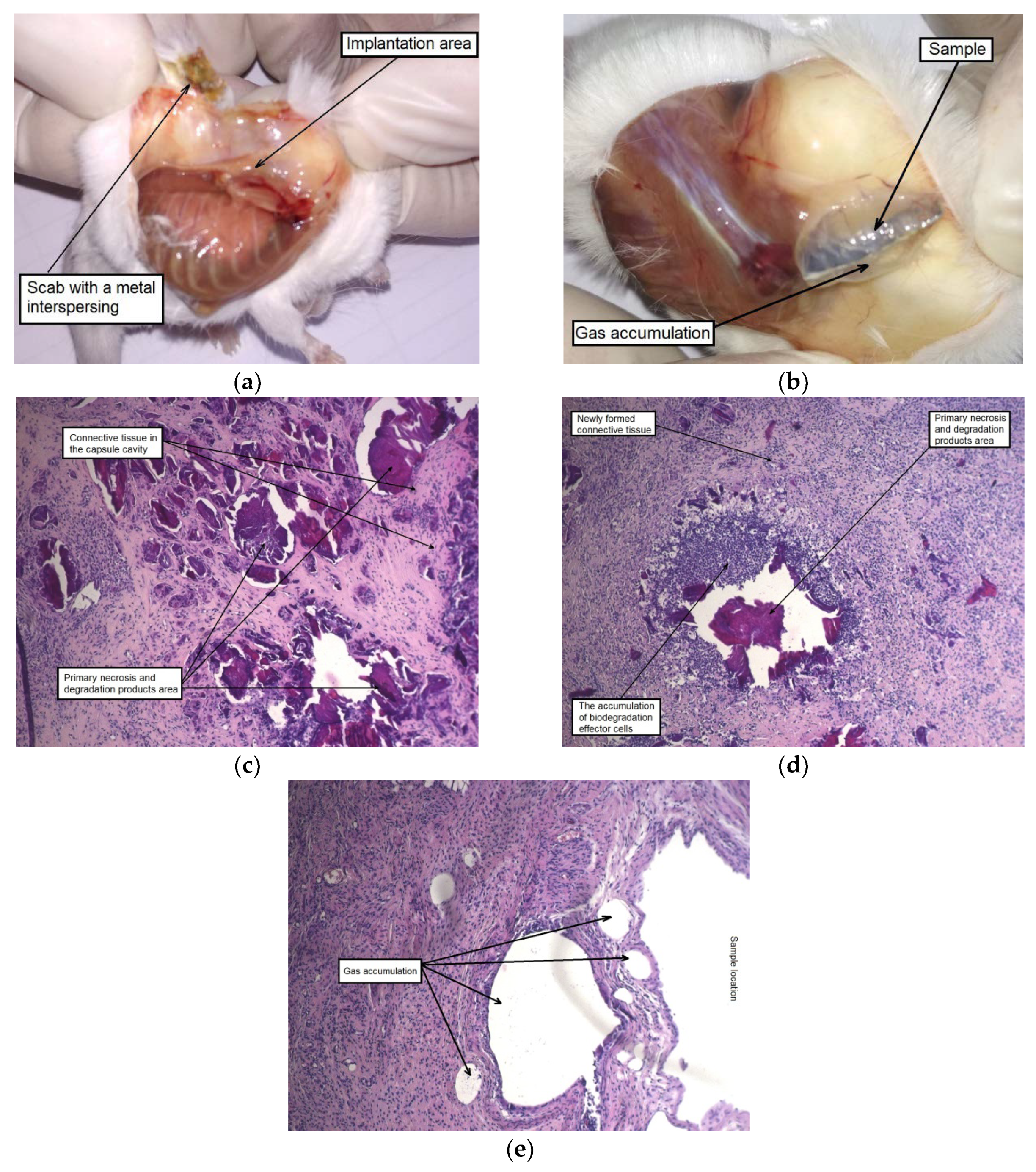 Materials 12 03627 g009