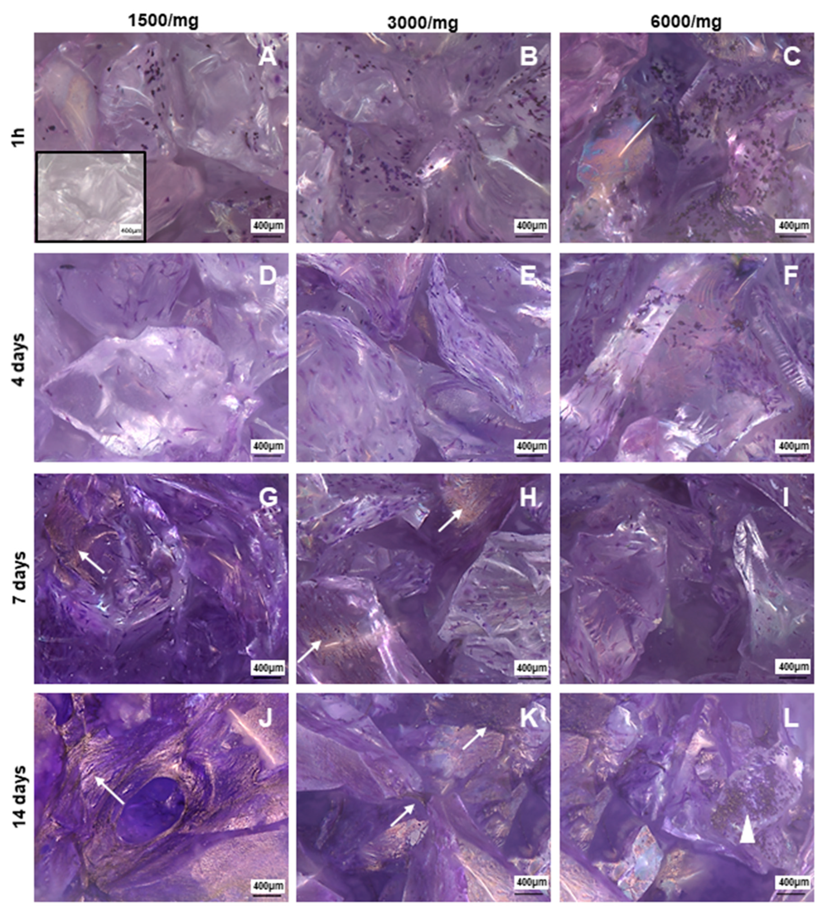 Materials 12 03633 g004 Materials 12 03633 g004