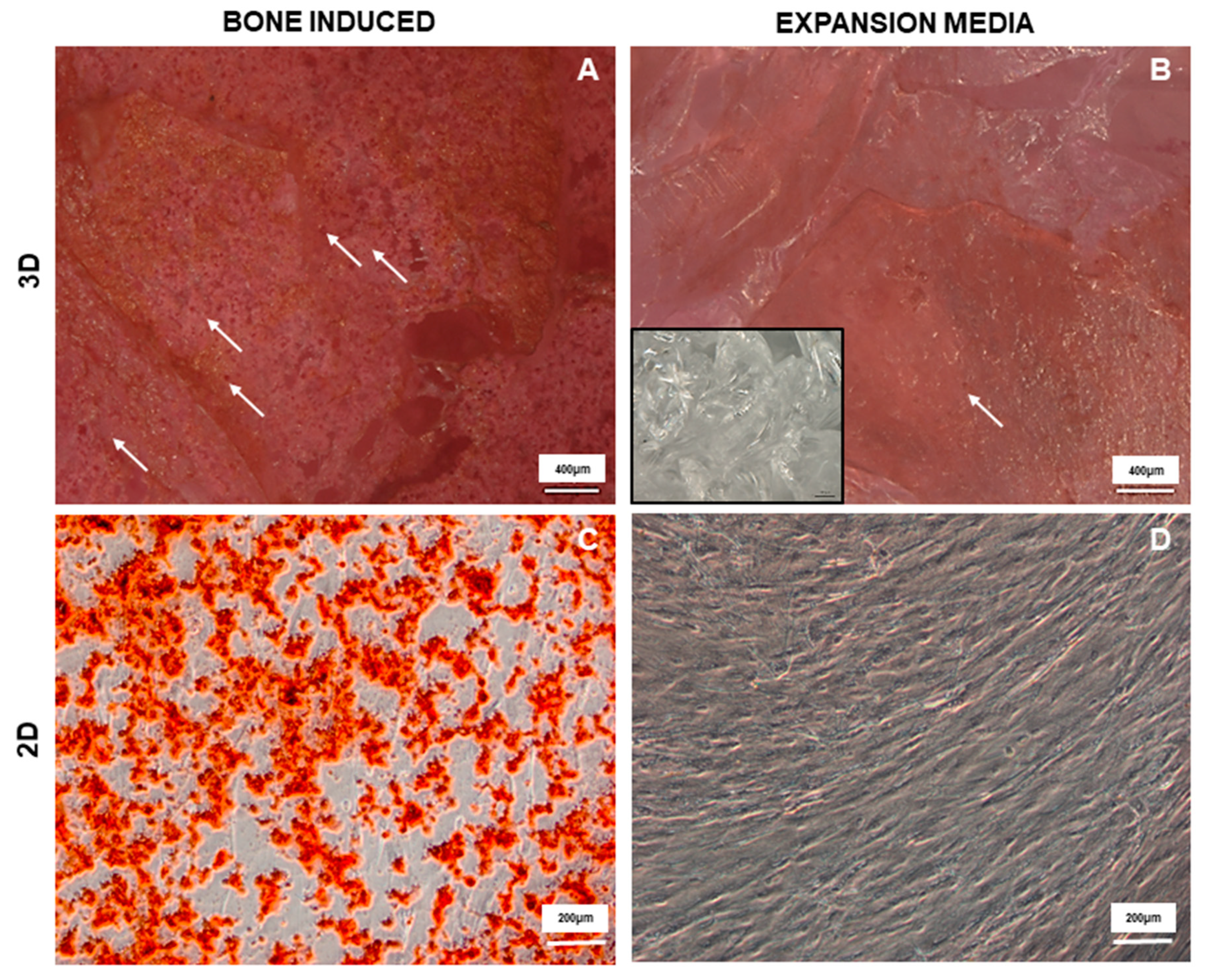 Materials 12 03633 g005 Materials 12 03633 g005