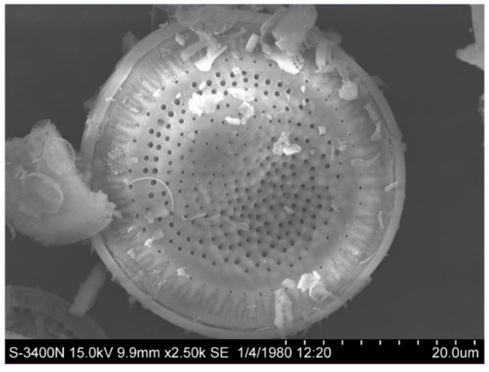 Materials 12 03654 g003