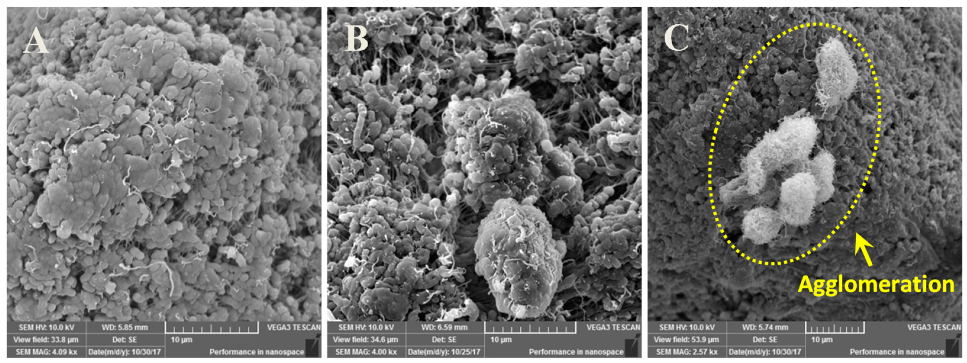 Materials 12 03665 g002 Materials 12 03665 g002