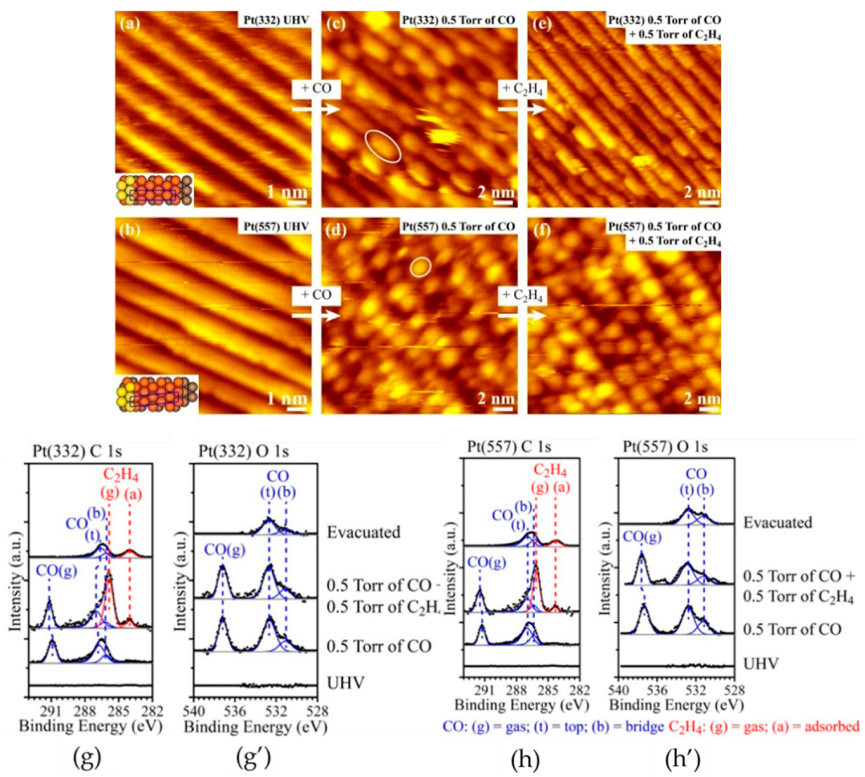 Materials 12 03674 g008 Materials 12 03674 g008