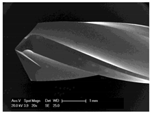 Materials 12 03695 i002