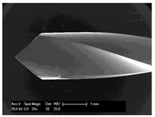 Materials 12 03695 i005