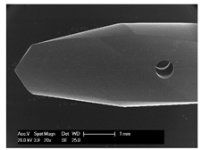 Materials 12 03695 i009