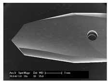 Materials 12 03695 i010