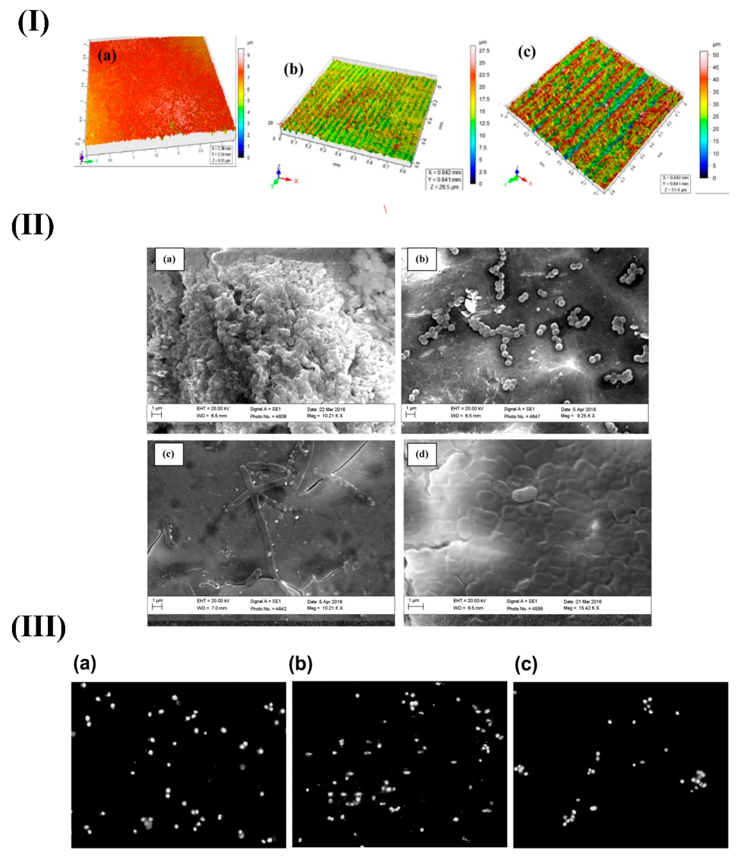 Materials 12 03696 g007