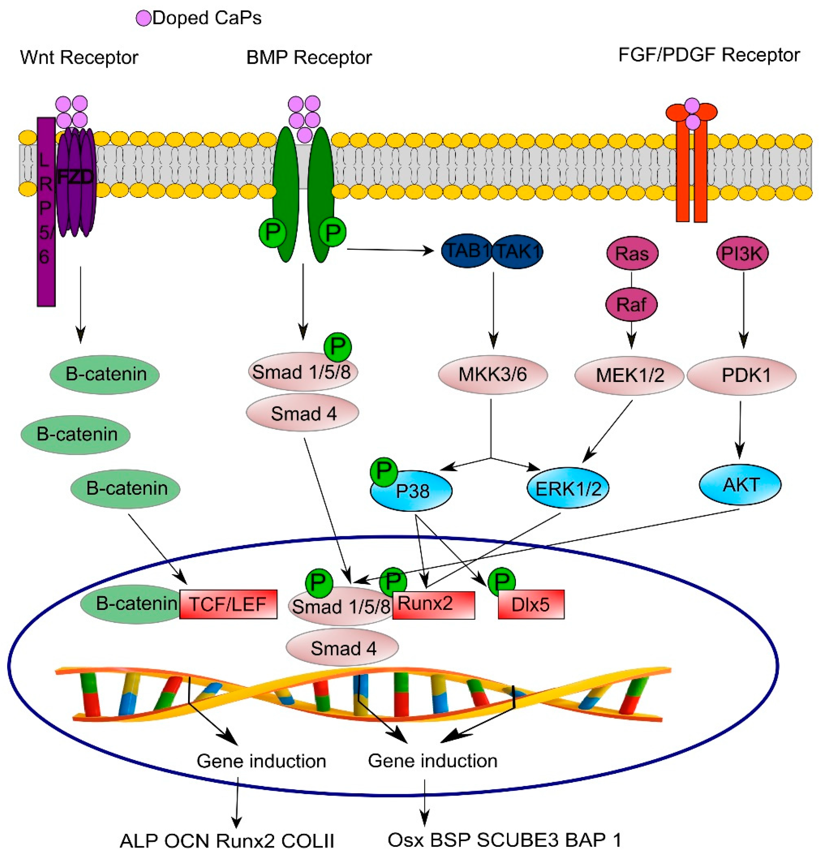Materials 12 03704 g003