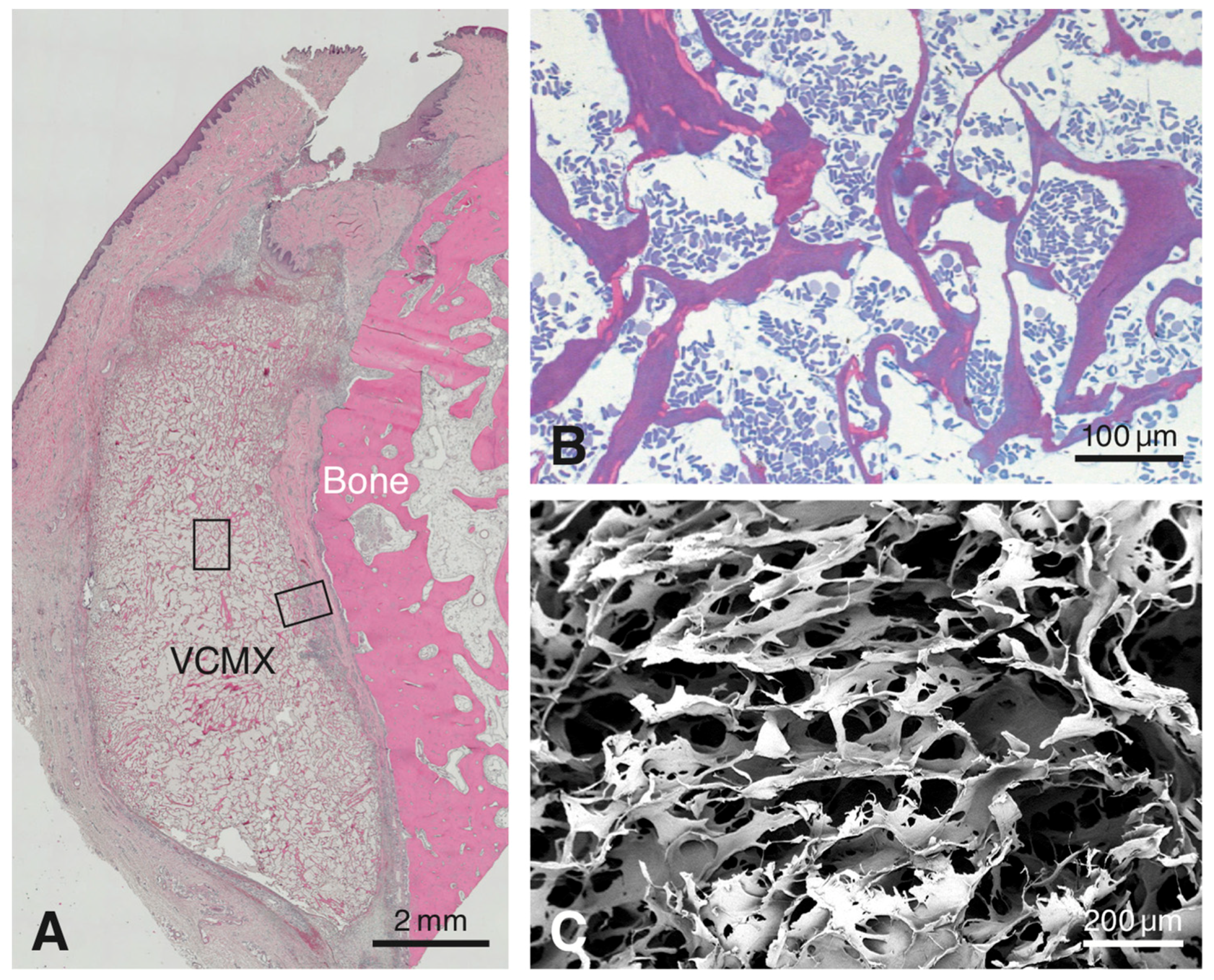 Materials 12 03721 g001