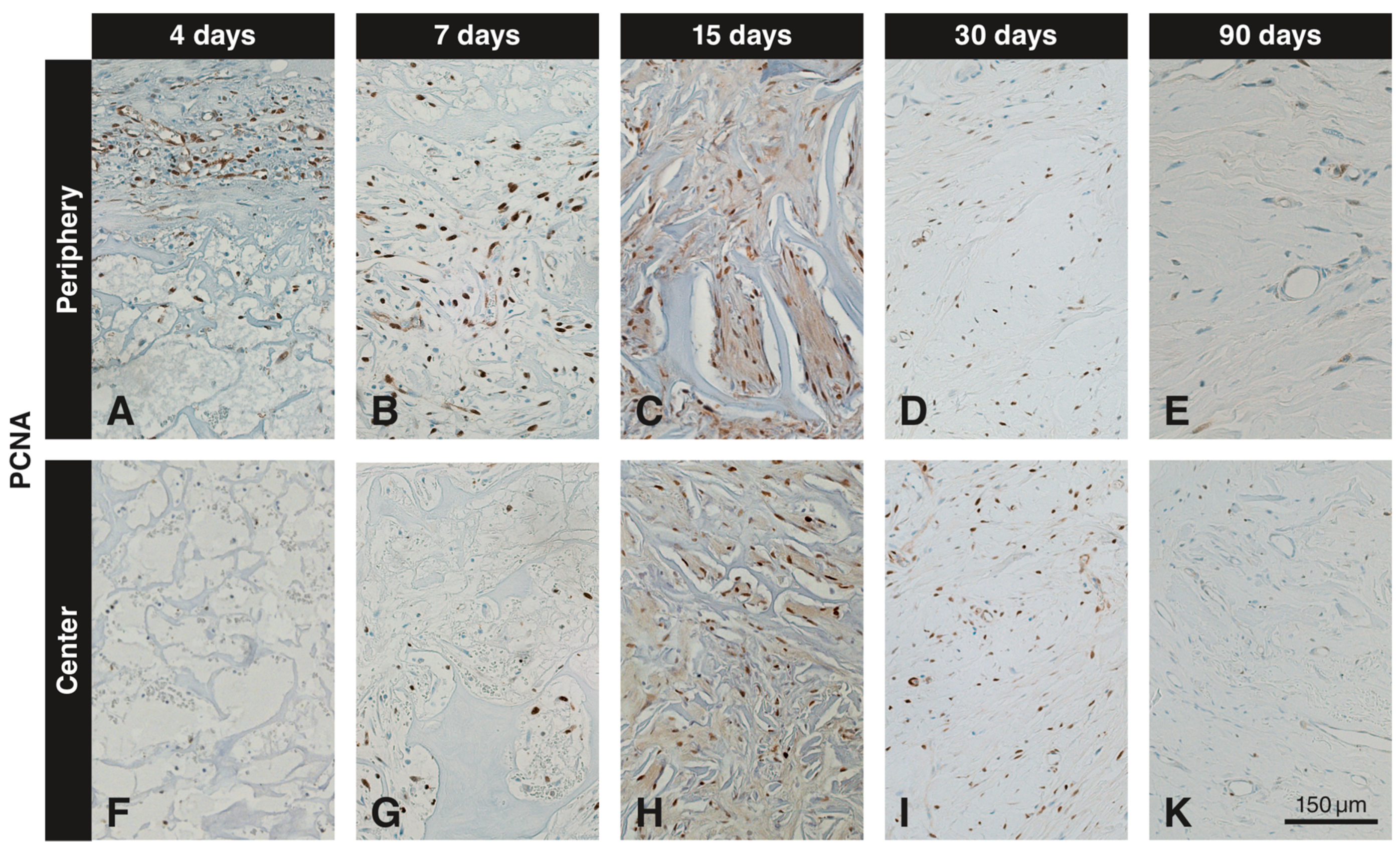 Materials 12 03721 g004