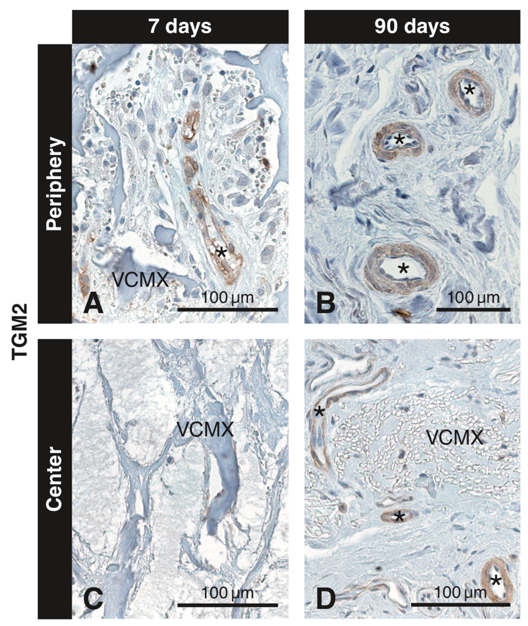 Materials 12 03721 g007
