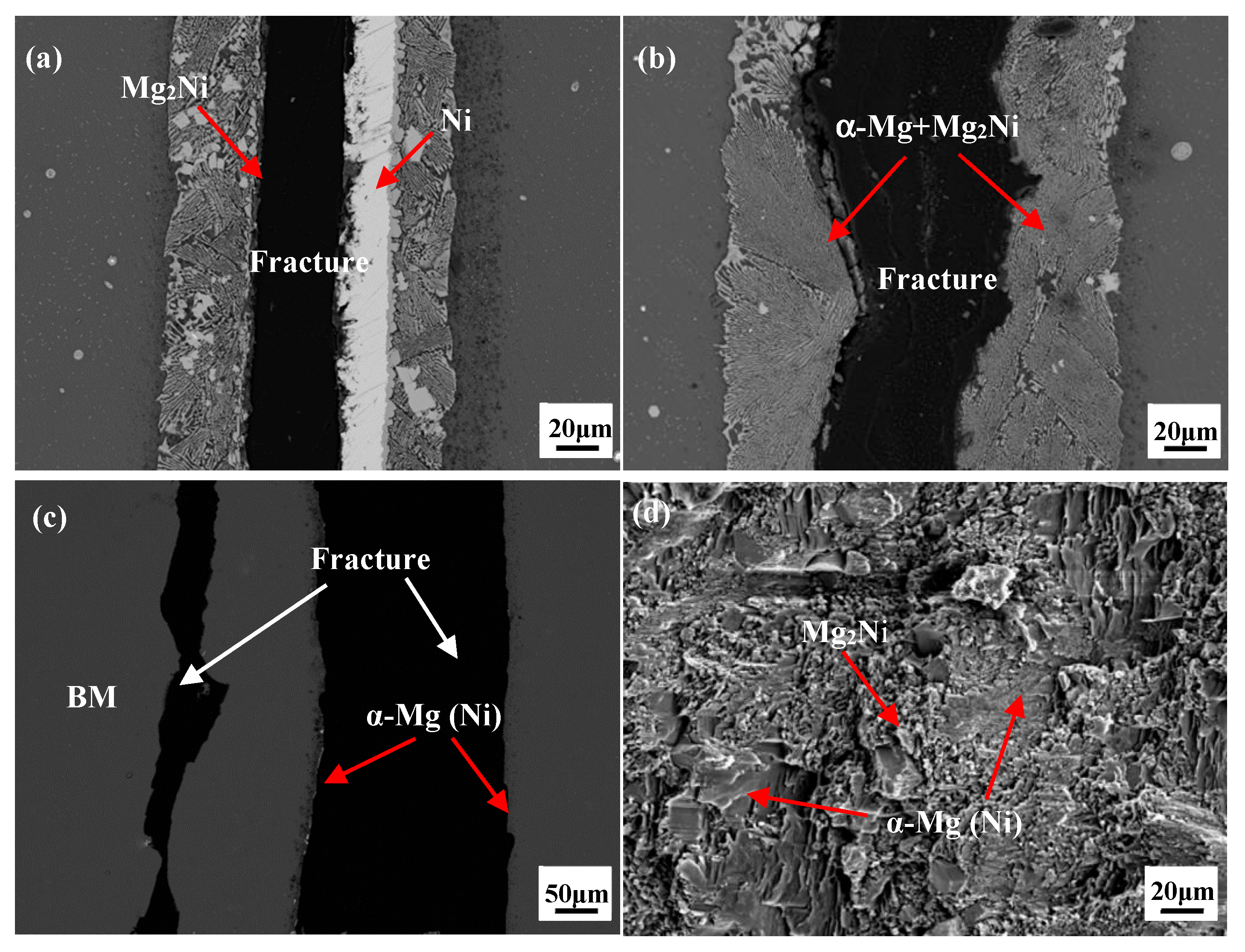Materials 12 03732 g007