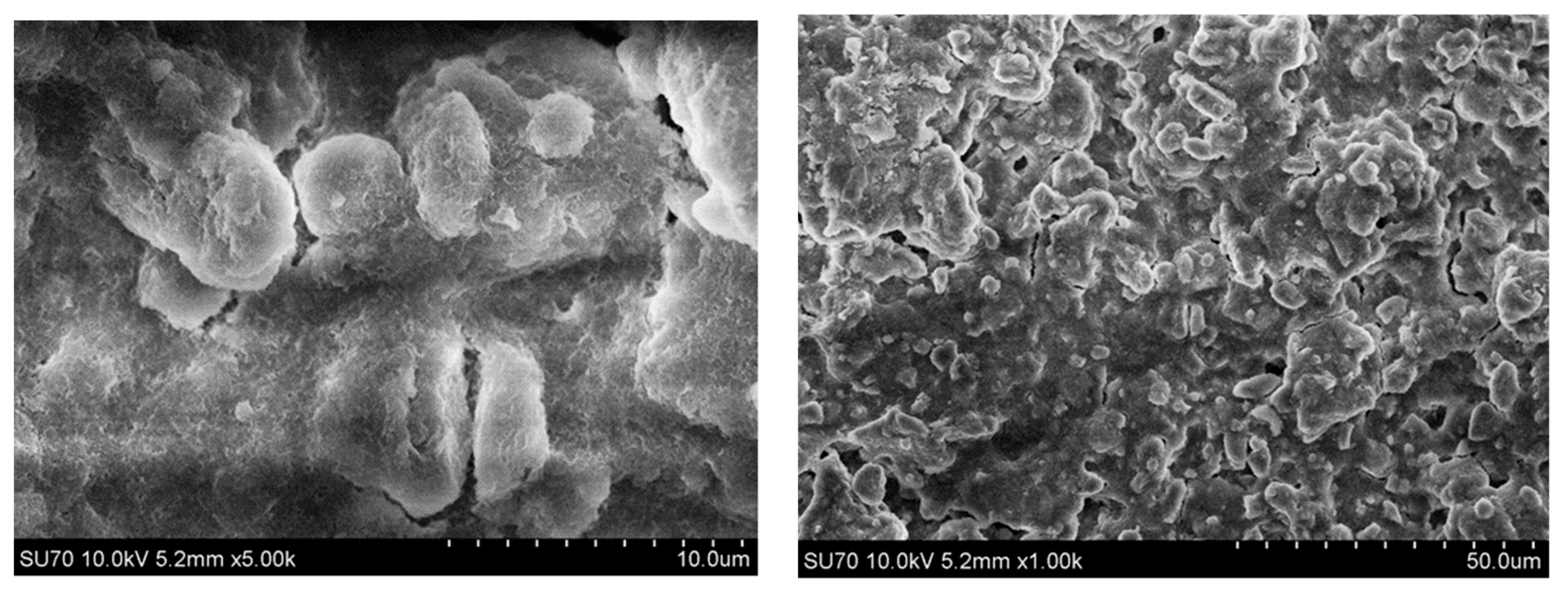 Materials 12 03738 g003 Materials 12 03738 g003