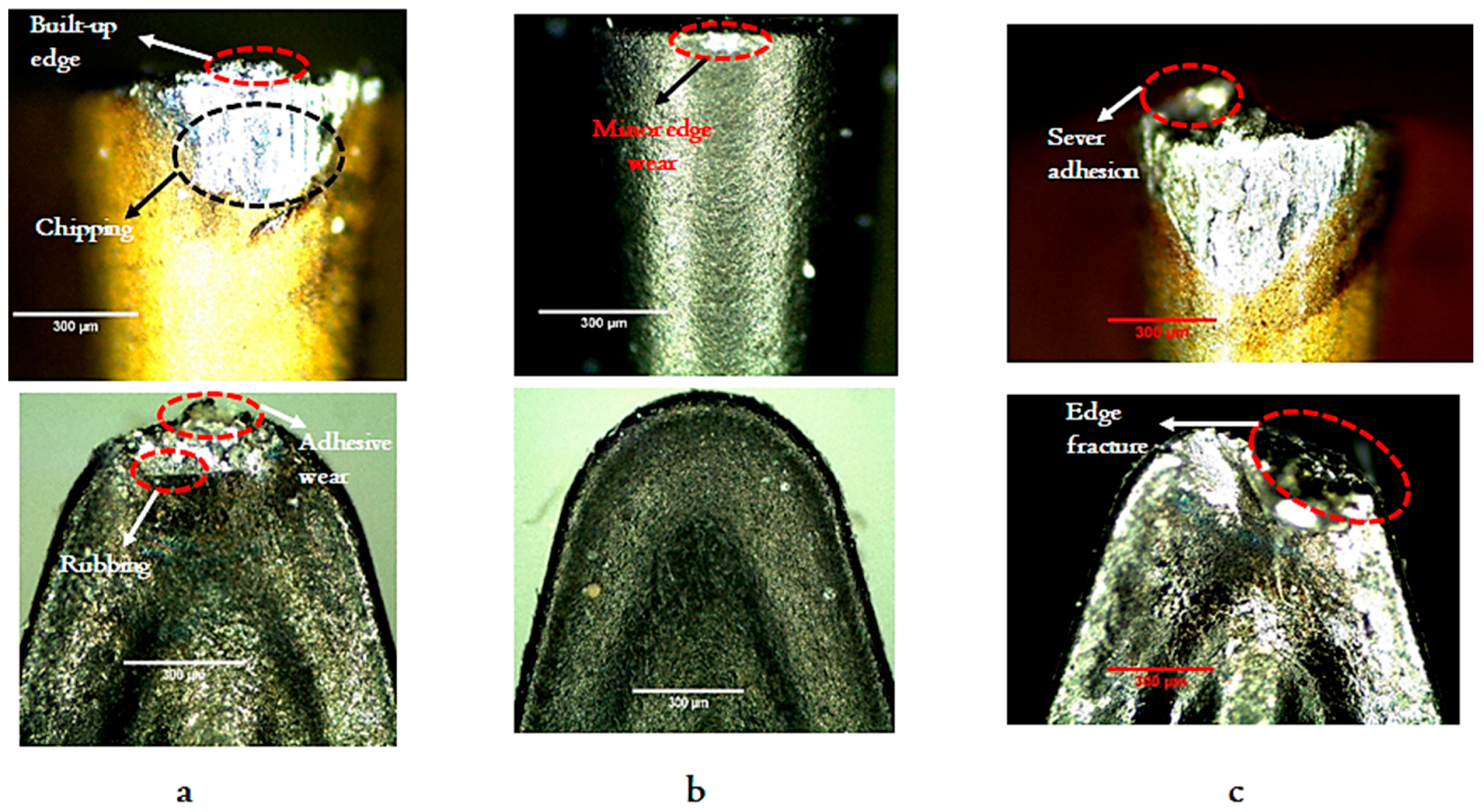 Materials 12 03749 g006