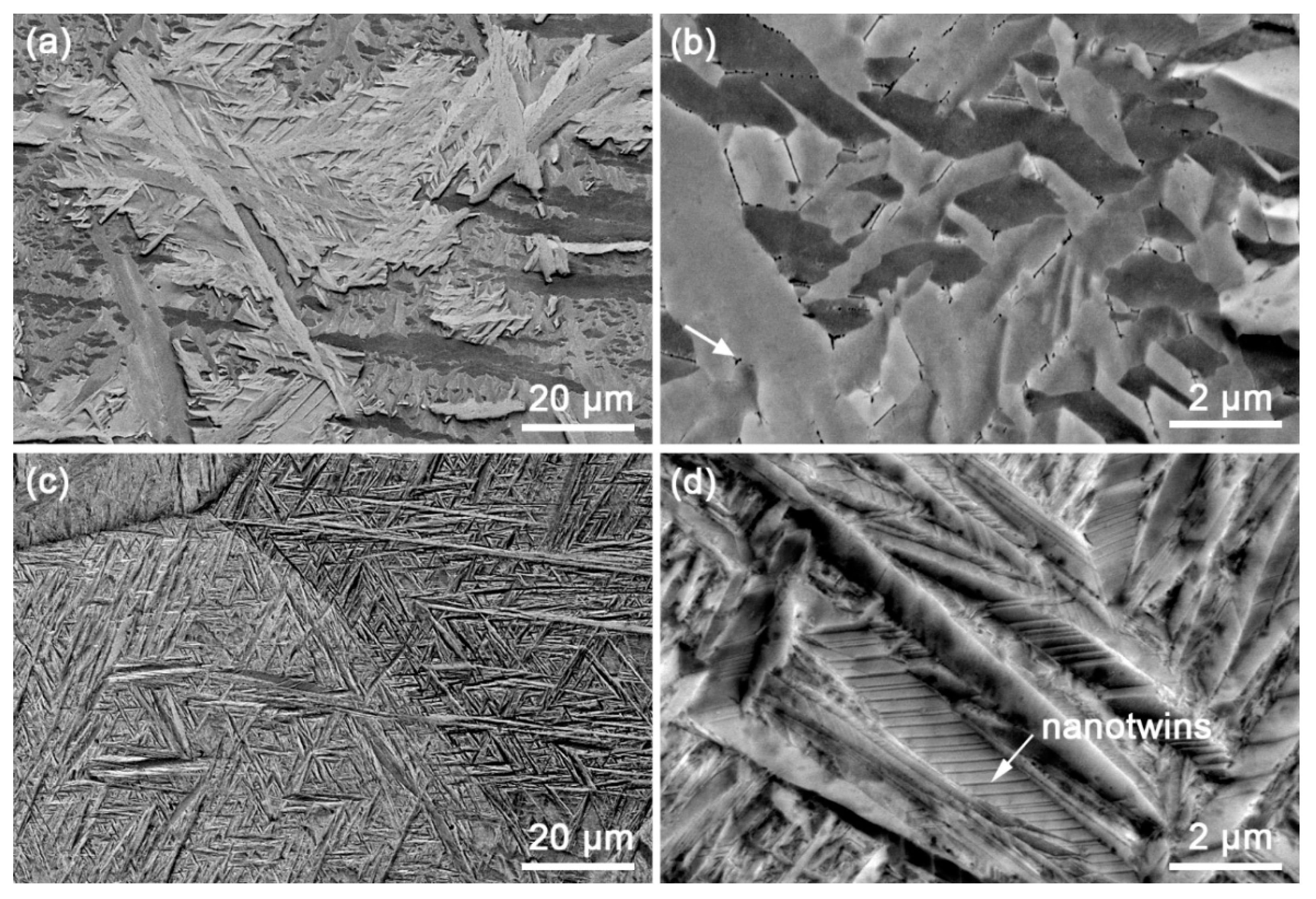 Materials 12 03752 g003