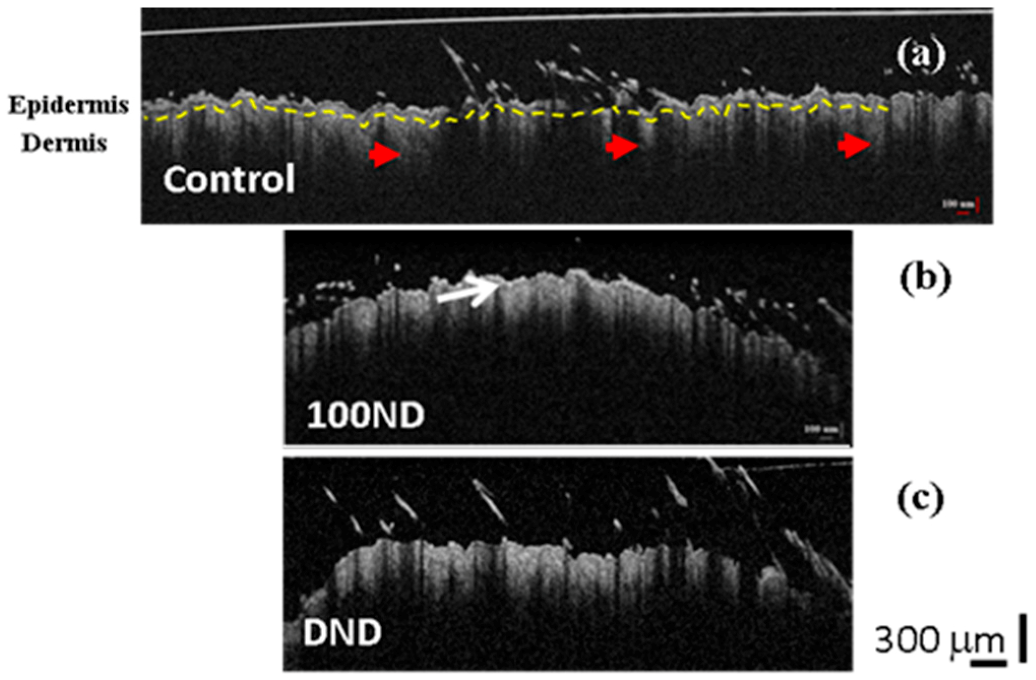Materials 12 03762 g003 Materials 12 03762 g003