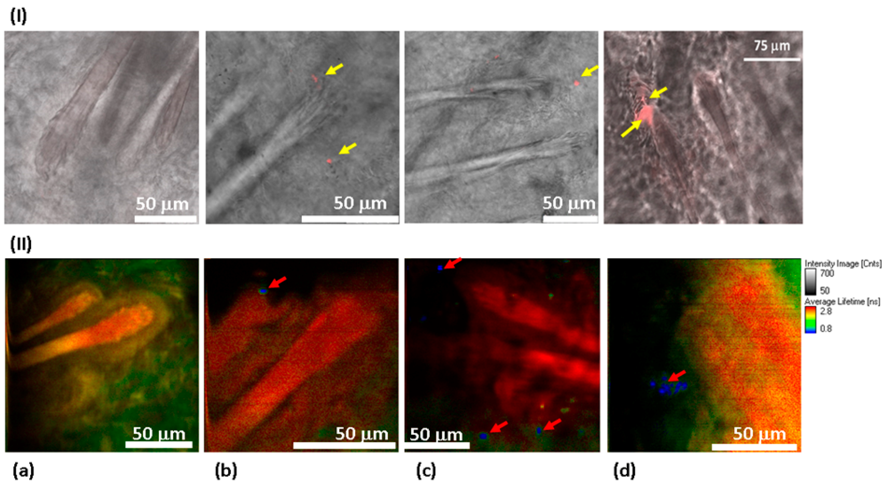 Materials 12 03762 g006 Materials 12 03762 g006