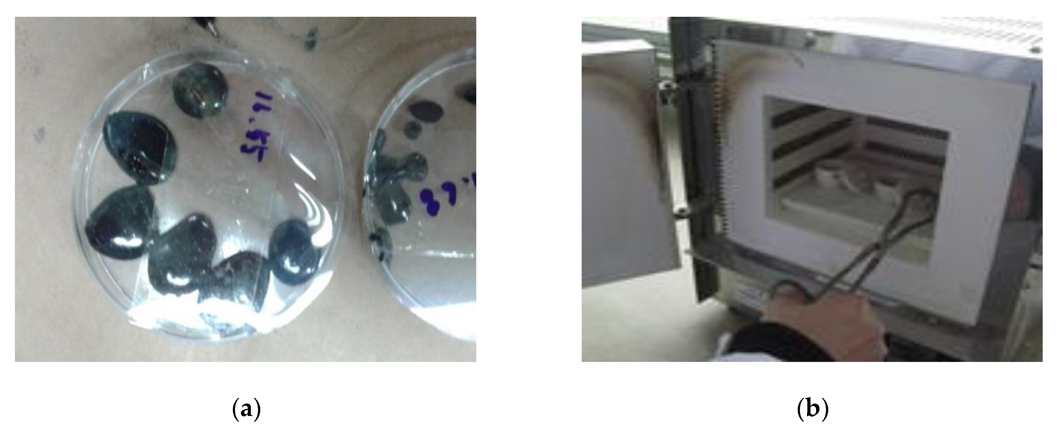 Materials 12 03816 g007