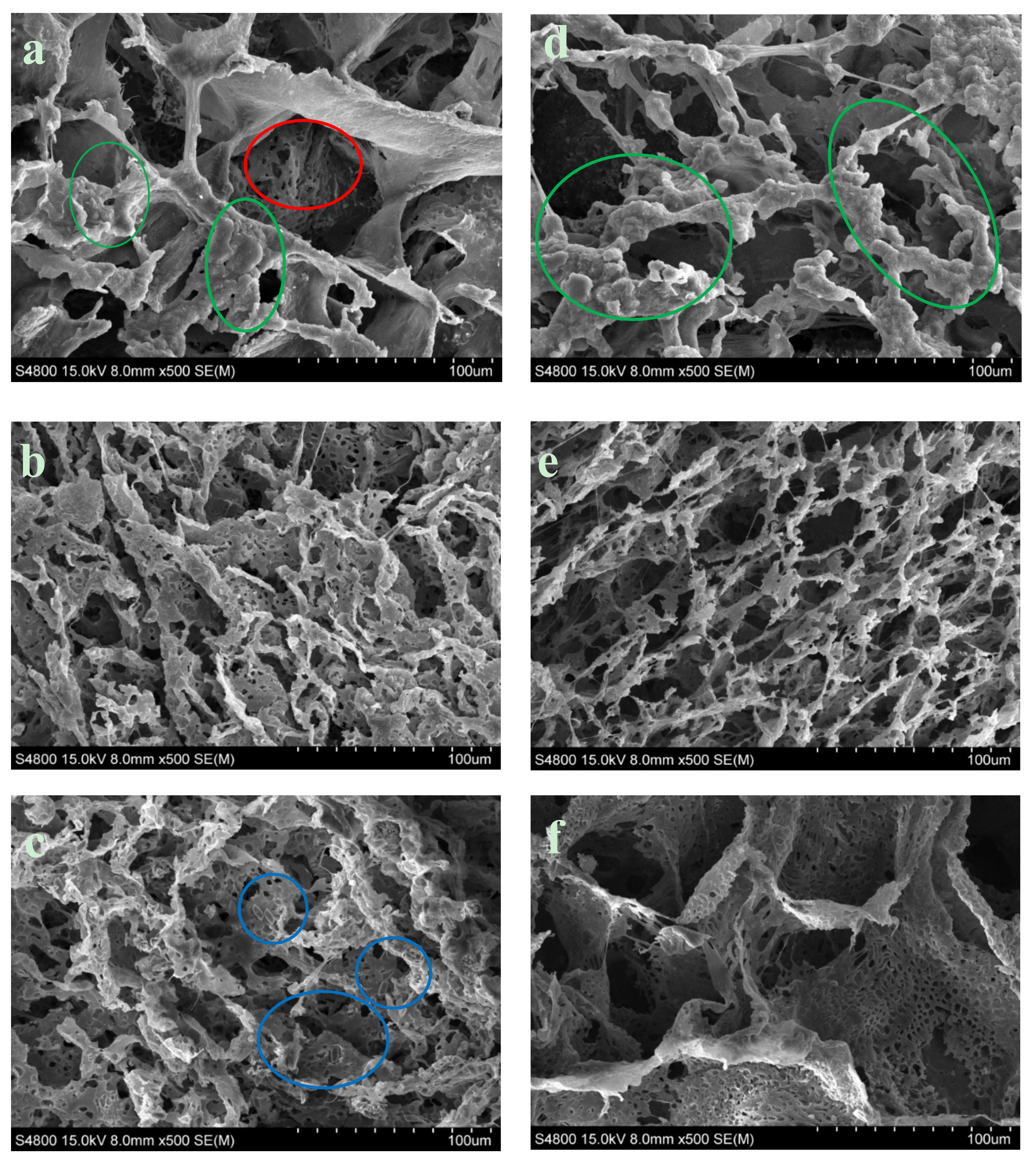 Materials 12 03843 g006