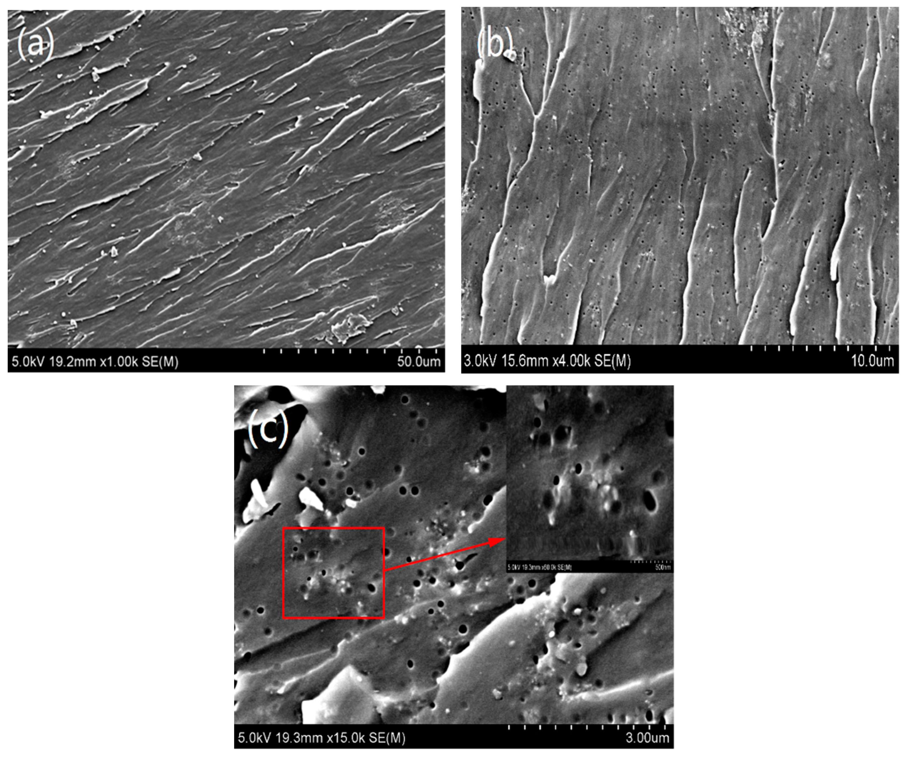 Materials 12 03853 g006