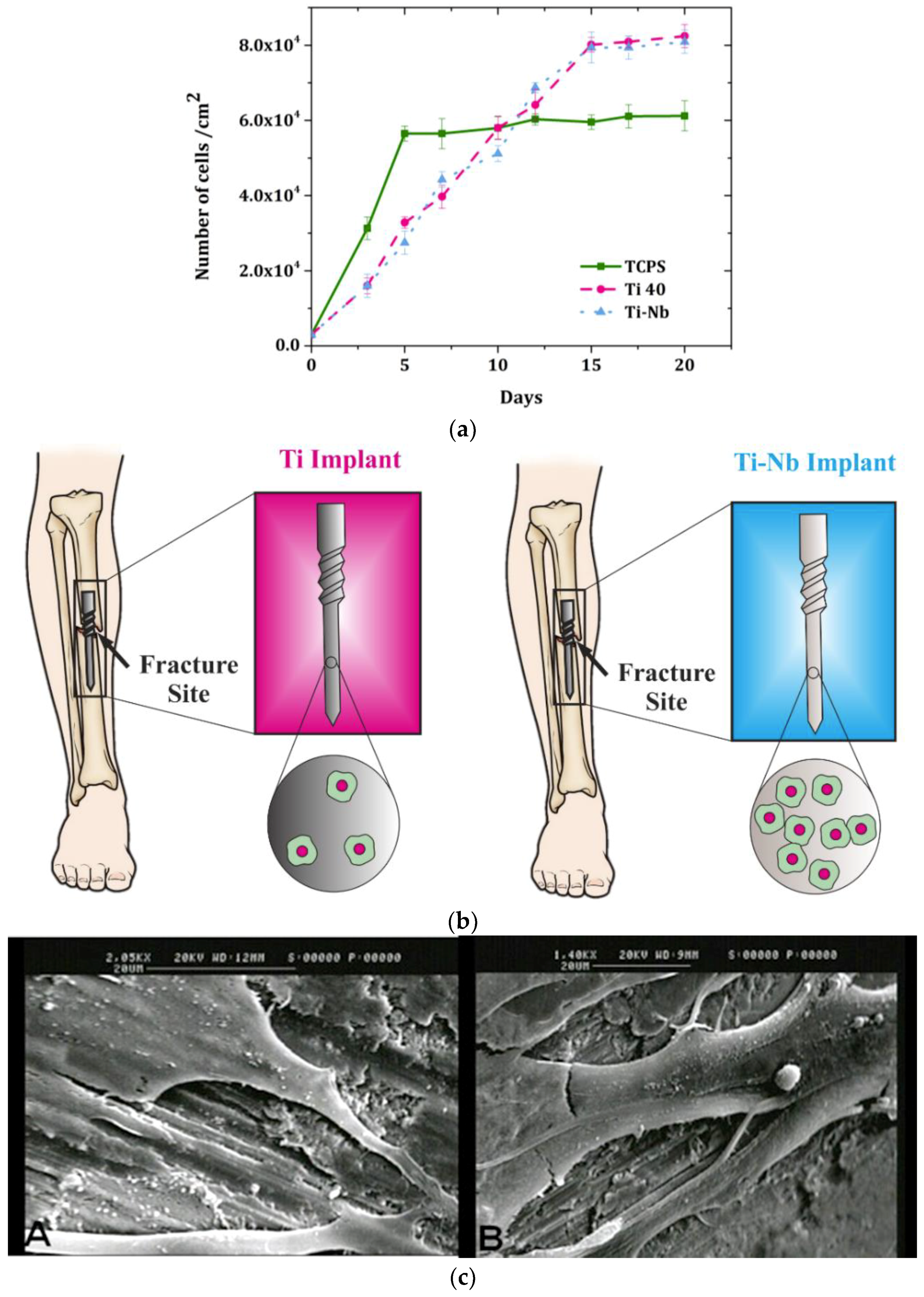 Materials 12 03861 g002