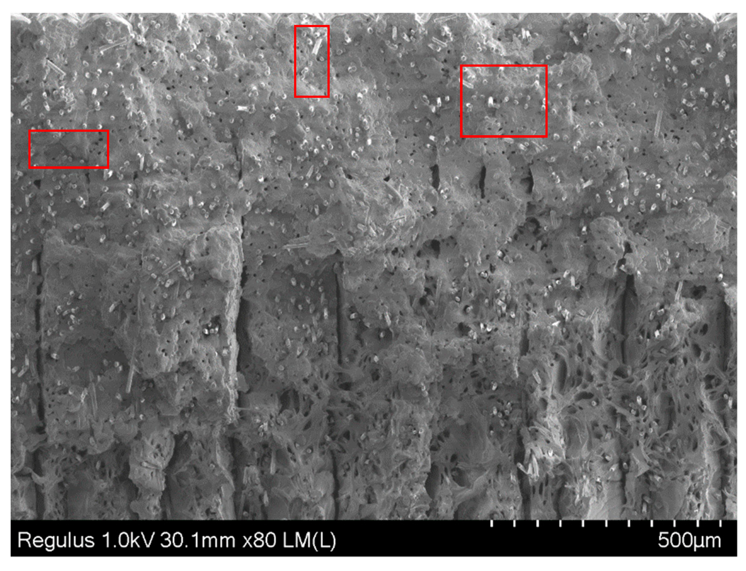 Materials 12 03885 g021